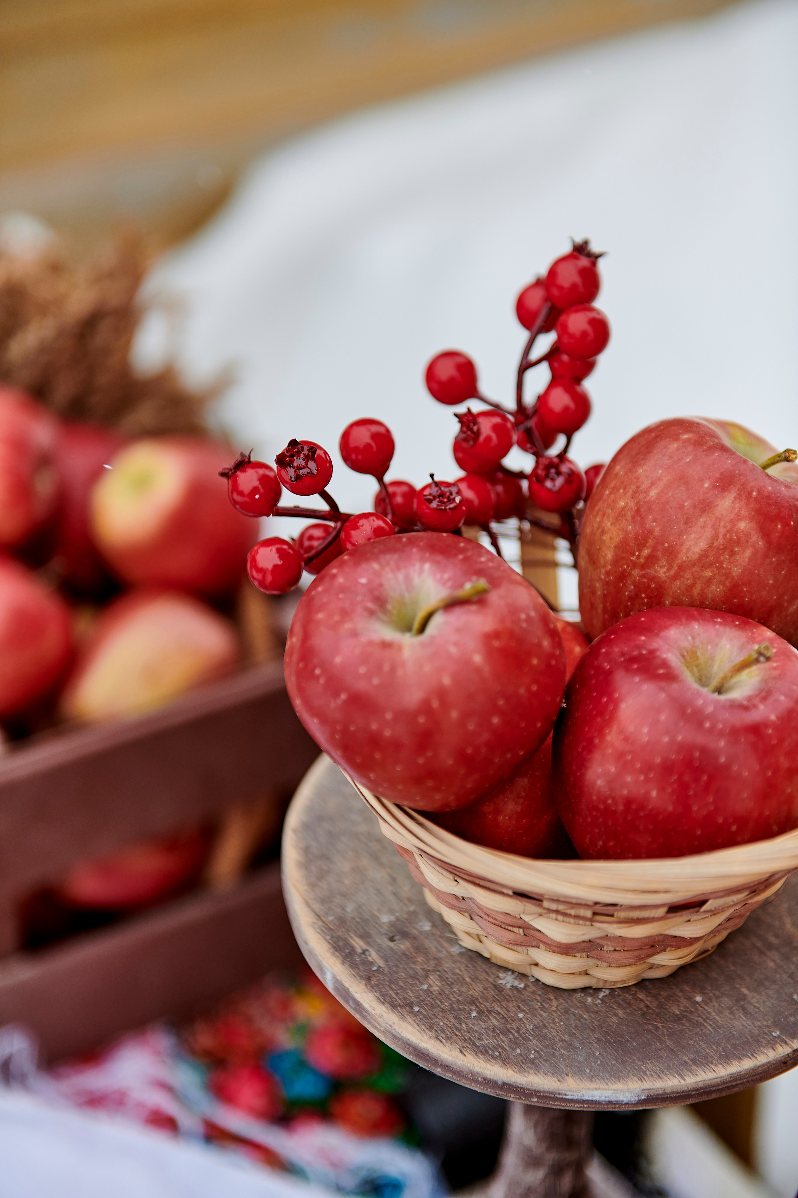 Зимний праздник для Нипигормаш. Фотограф Постольник Дарья