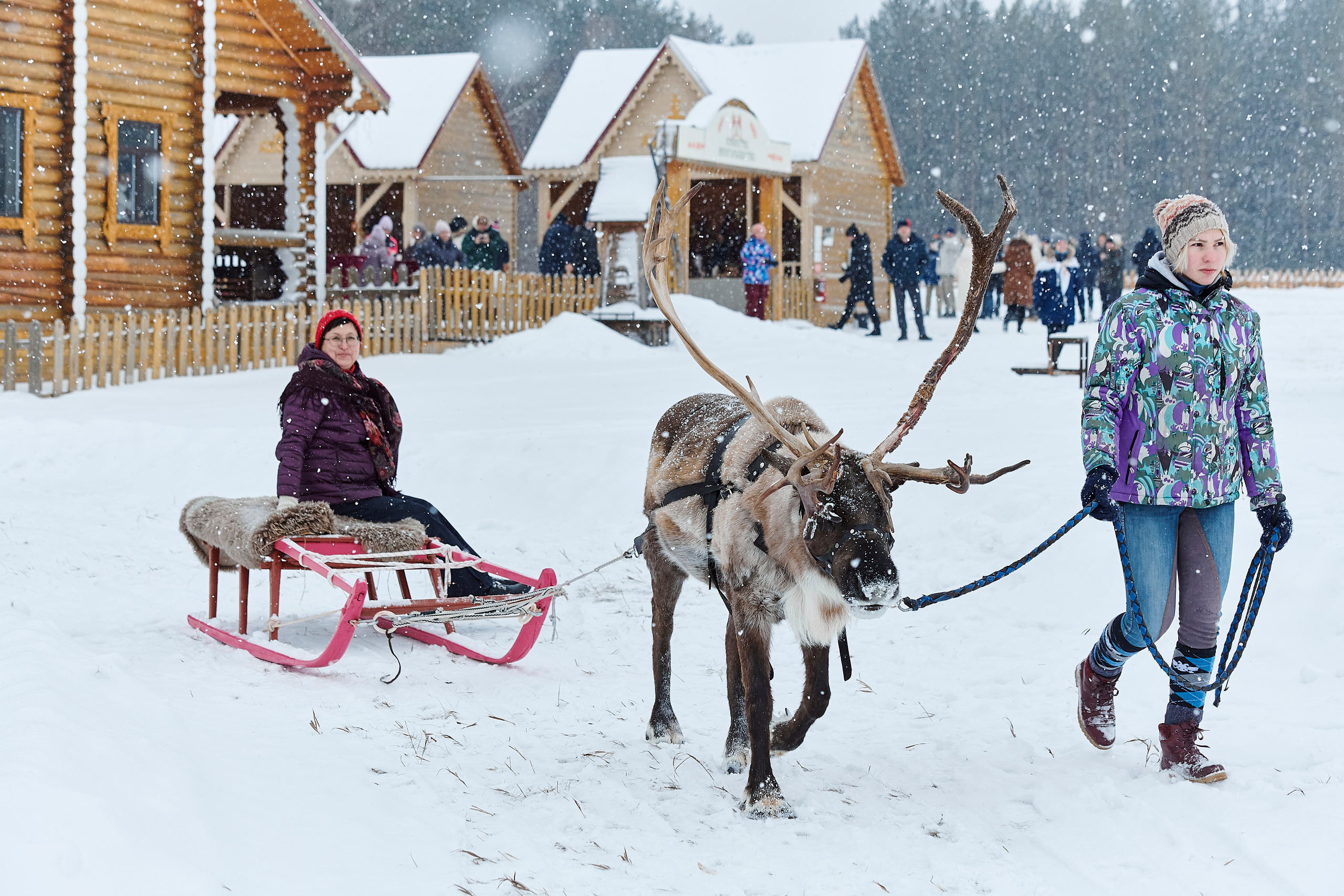 Зимний праздник для Нипигормаш. Фотограф Постольник Дарья