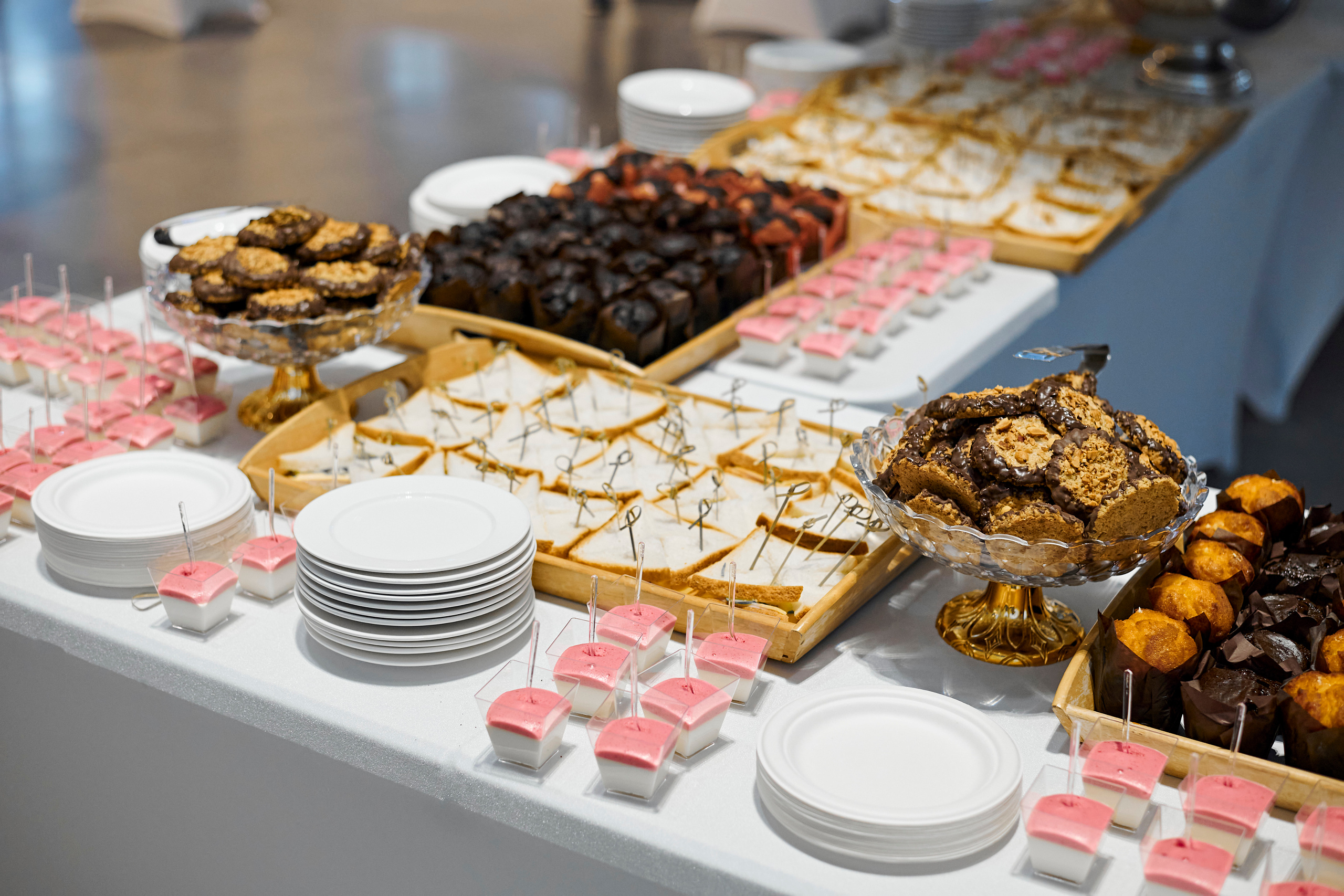 ATLAS development 15 лет. Фотограф Постольник Дарья