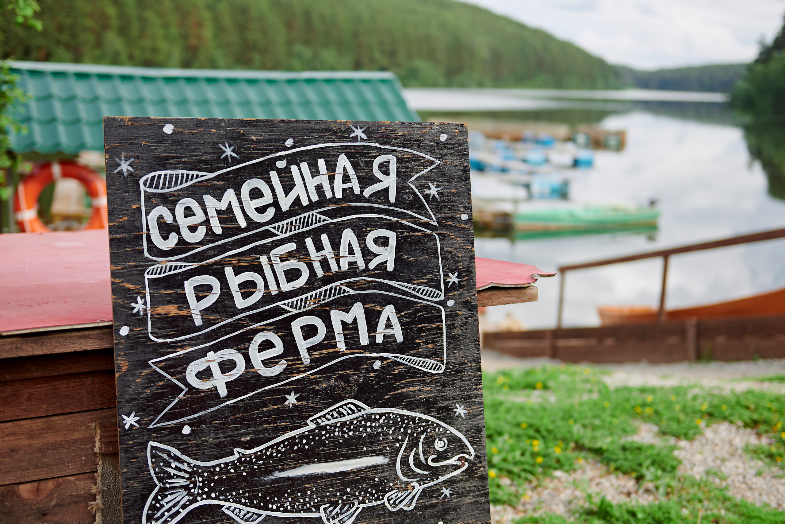 Летний ужин на природе с тремя шефами. Фотограф Постольник Дарья