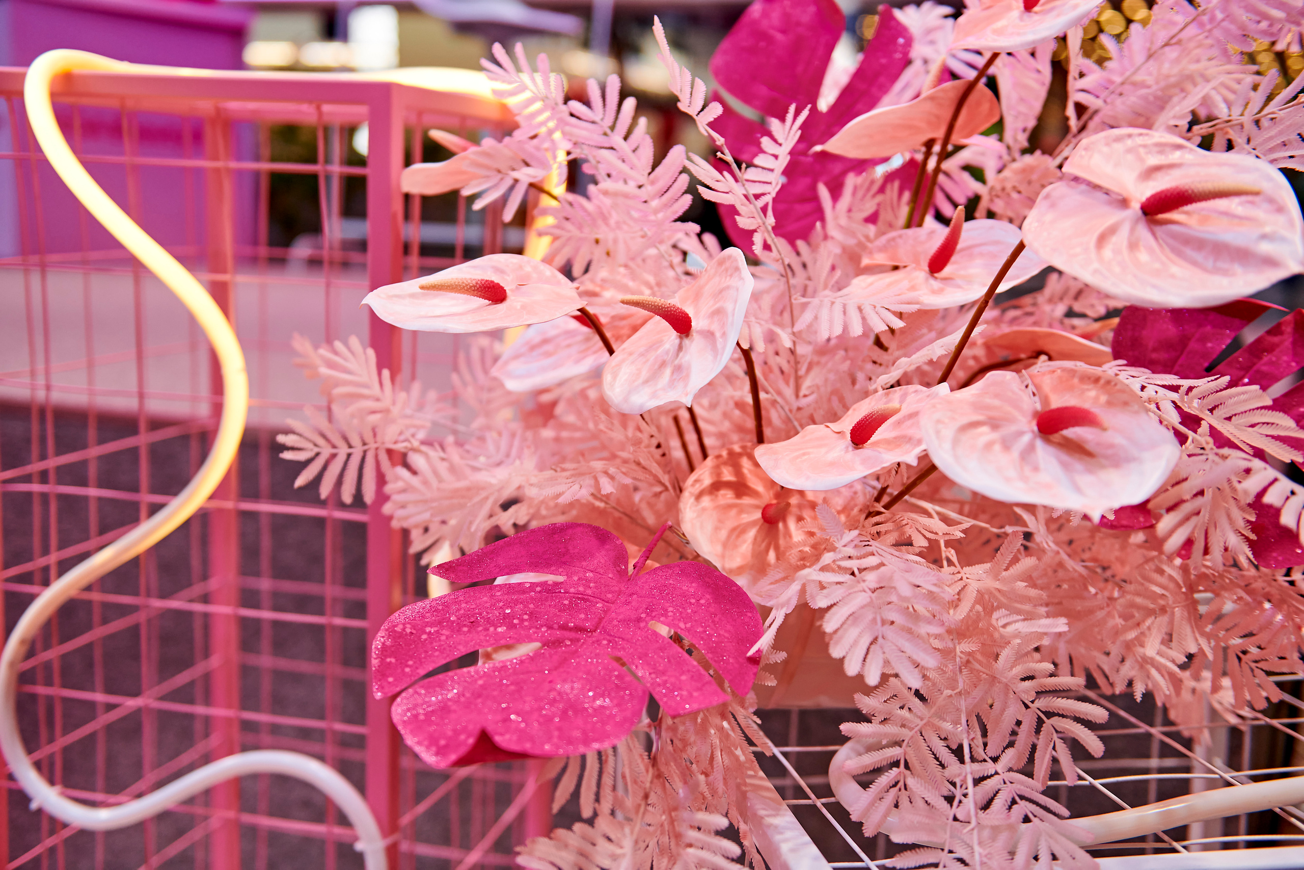 Mega Beauty Day. Фотограф Постольник Дарья