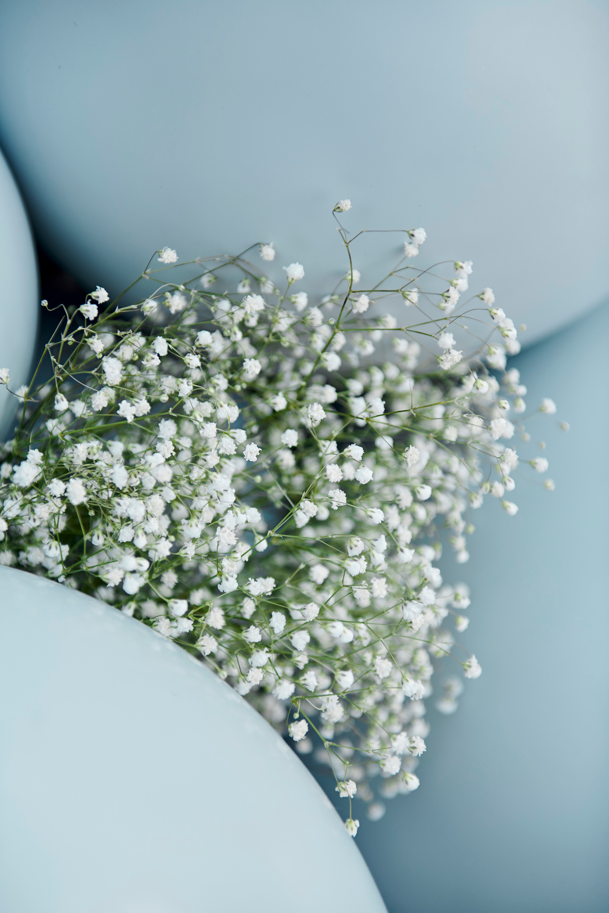 Открытие косметологической клиники VTELO. Фотограф Постольник Дарья