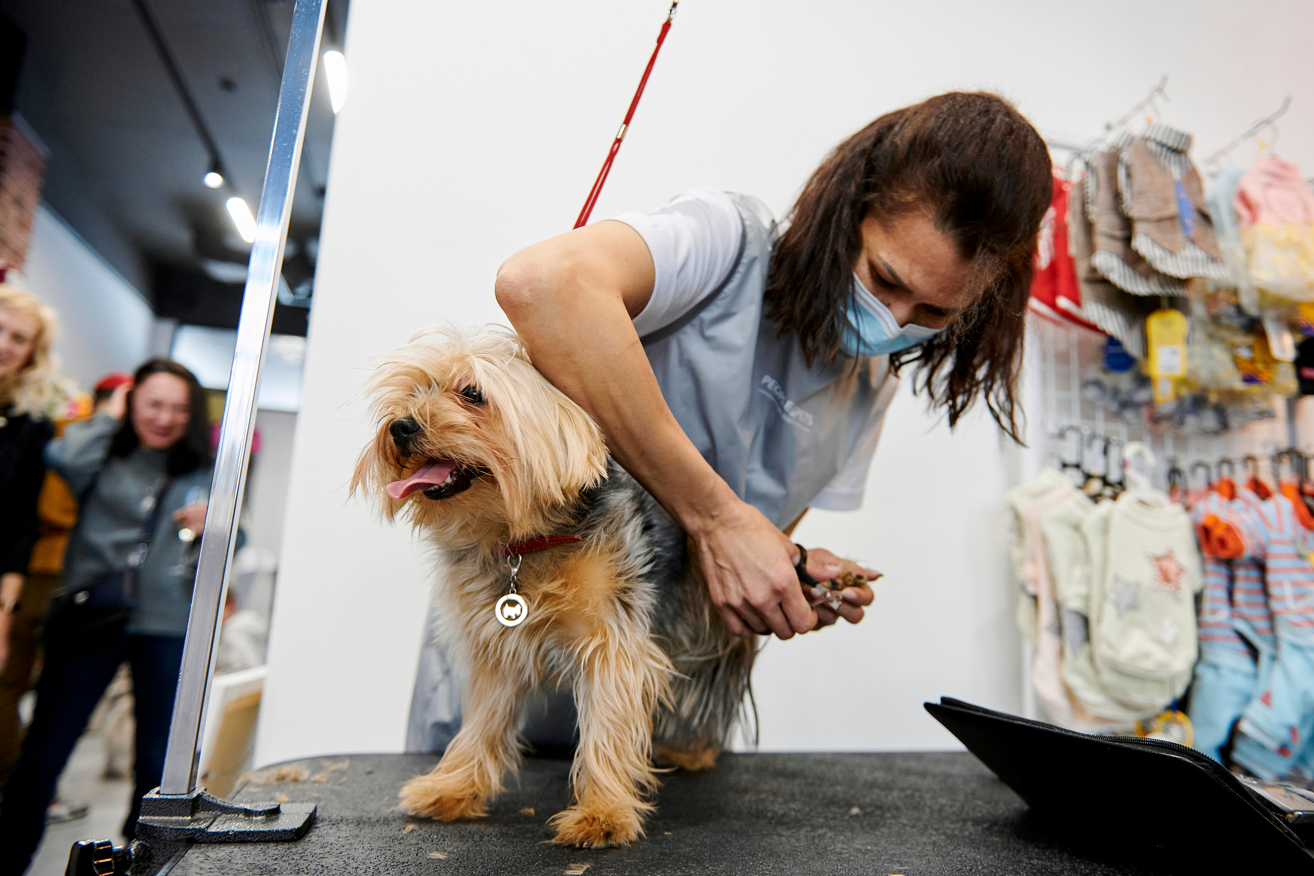 Открытие салона-магазина для животных People & Pets. Фотограф Постольник Дарья