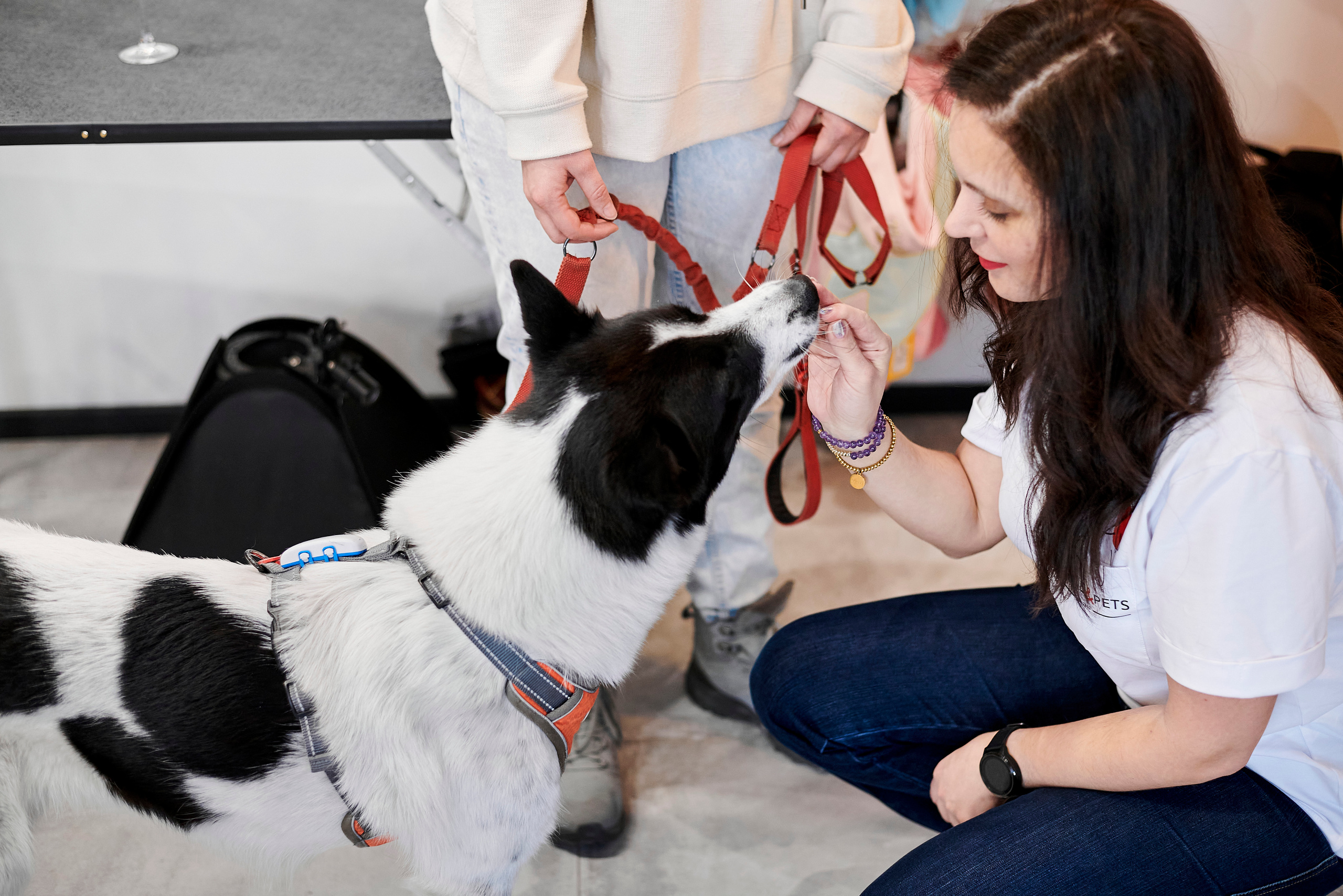 Открытие салона-магазина для животных People & Pets. Фотограф Постольник Дарья