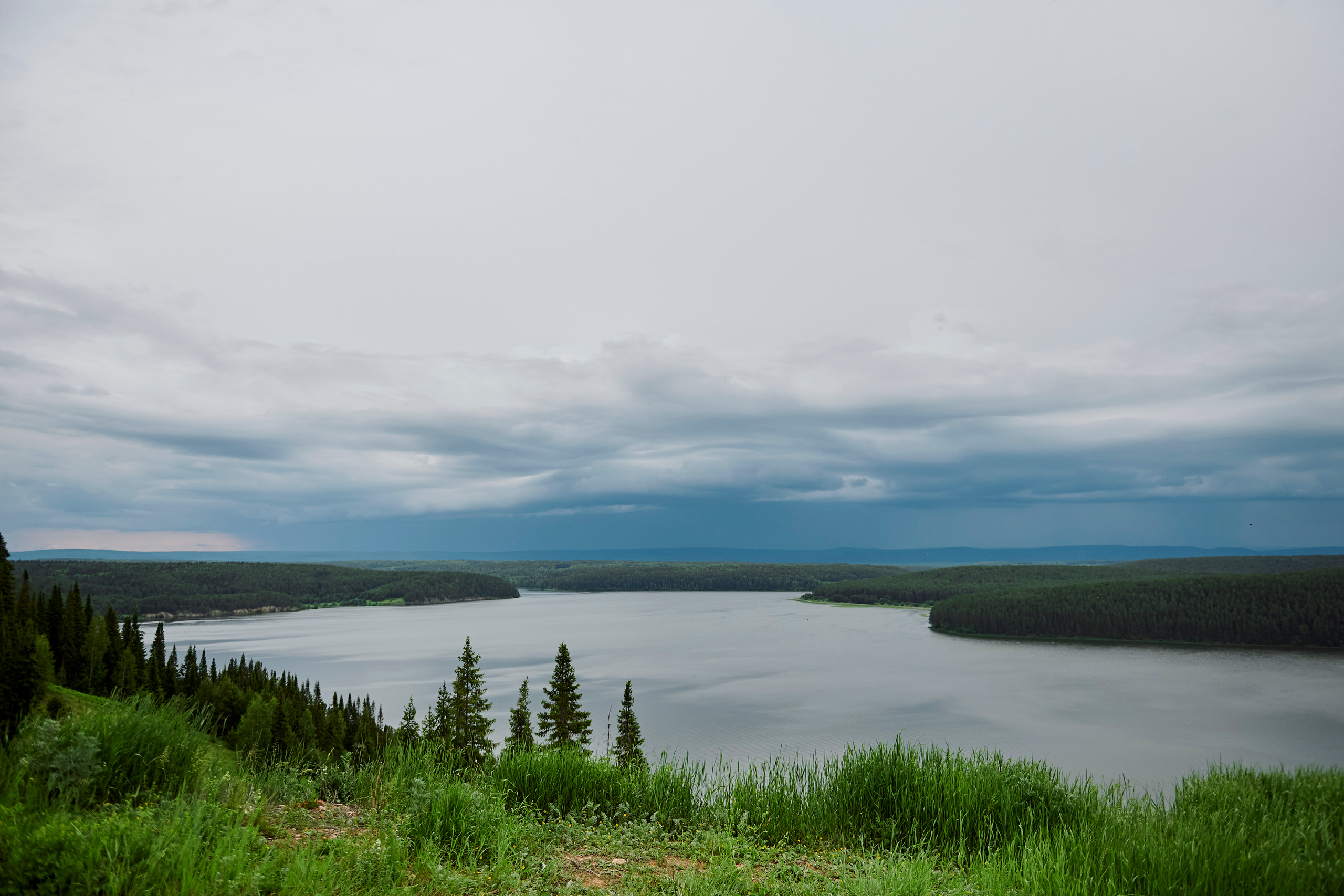 Летний ужин на природе с тремя шефами. Фотограф Постольник Дарья