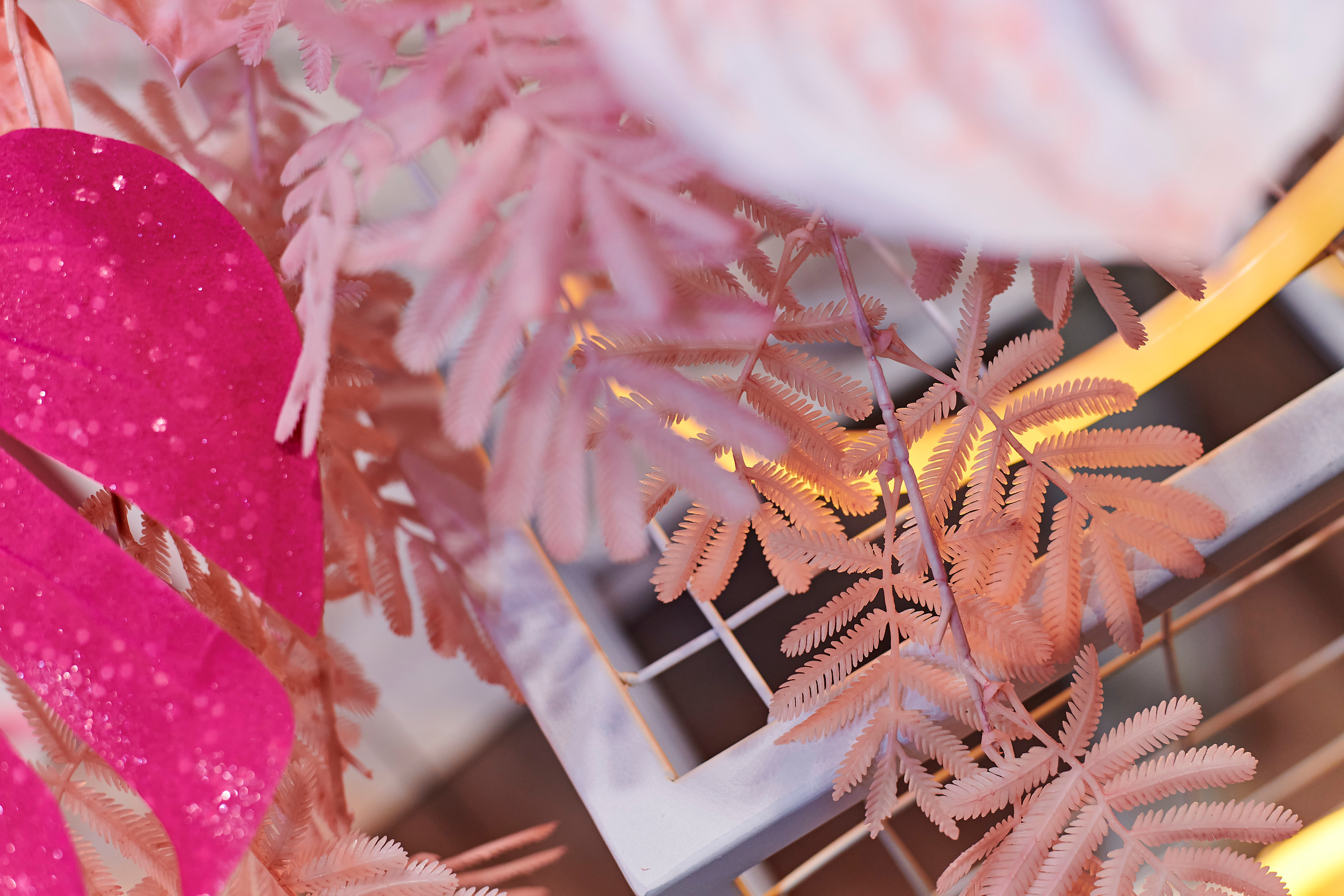 Mega Beauty Day. Фотограф Постольник Дарья