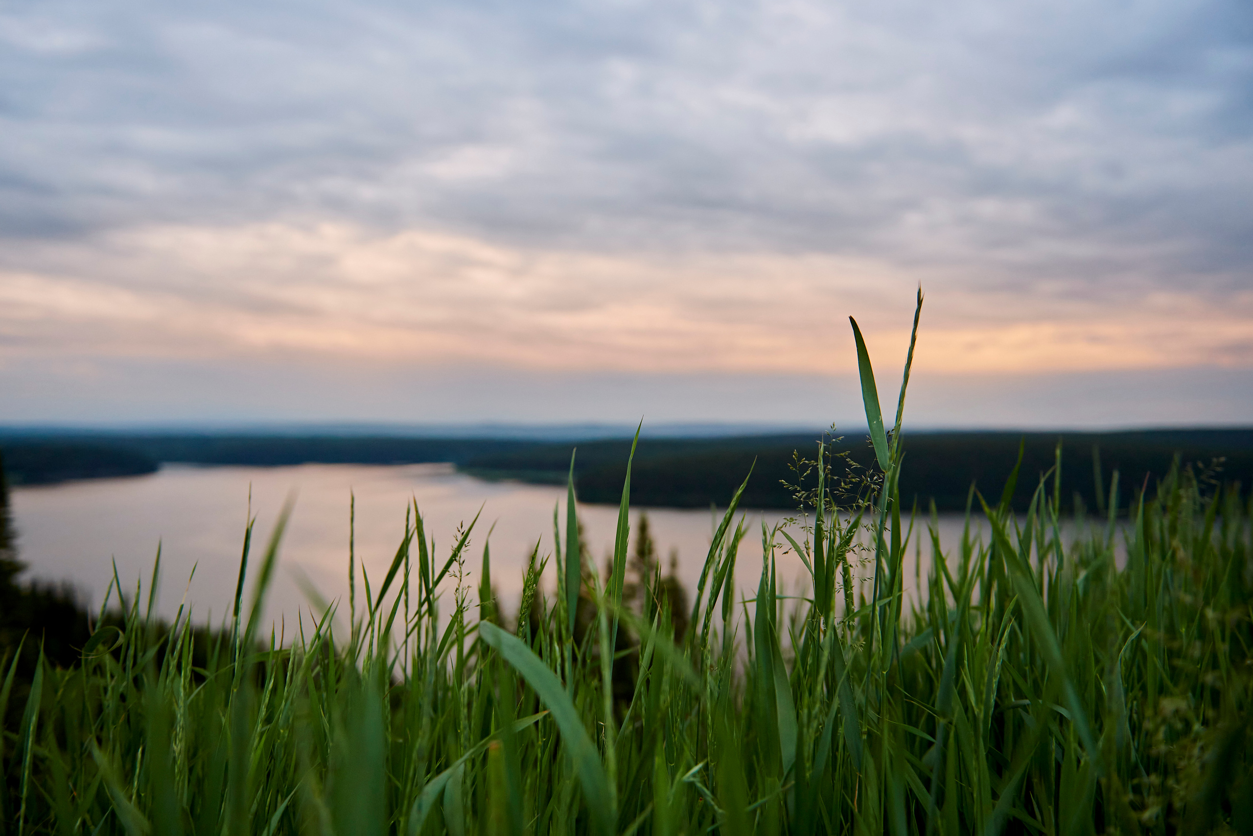 Летний ужин на природе с тремя шефами. Фотограф Постольник Дарья