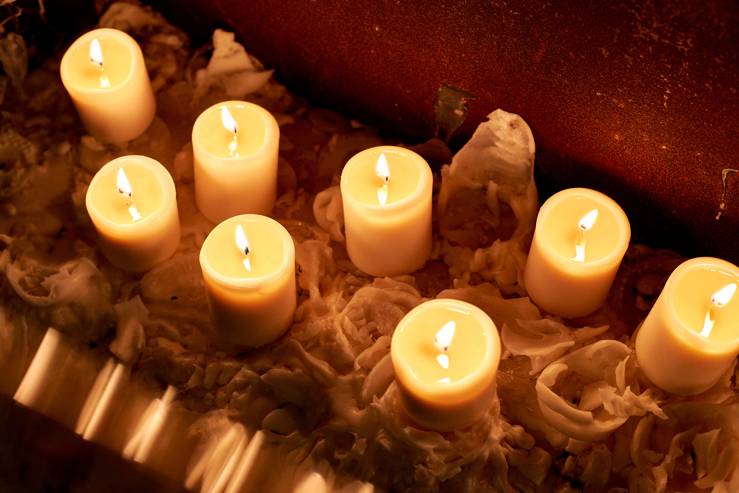 Sekta organic wine bar. Ужин с Аланом Бигати. Фотограф Постольник Дарья