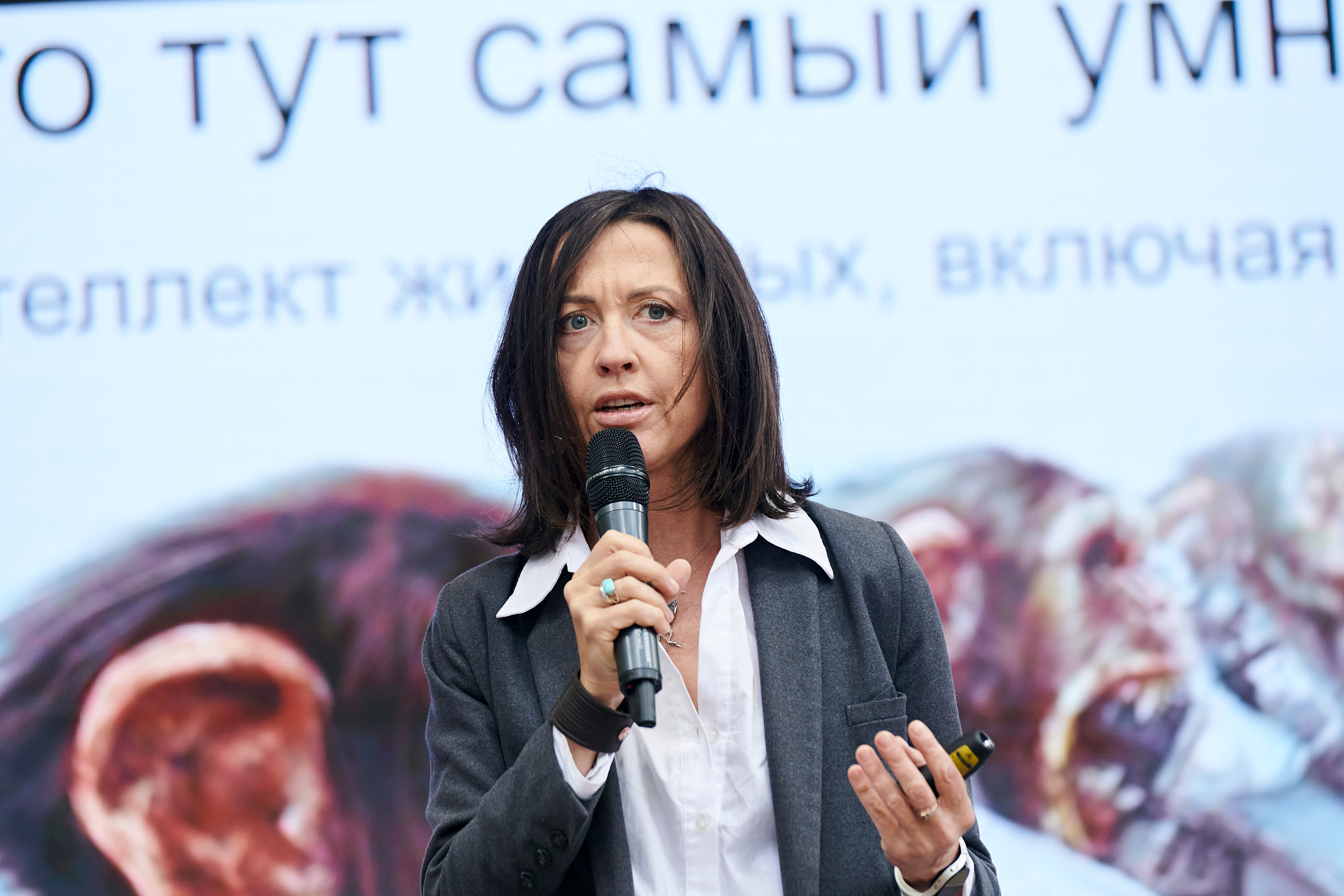 Пикник IT. Фотограф Постольник Дарья