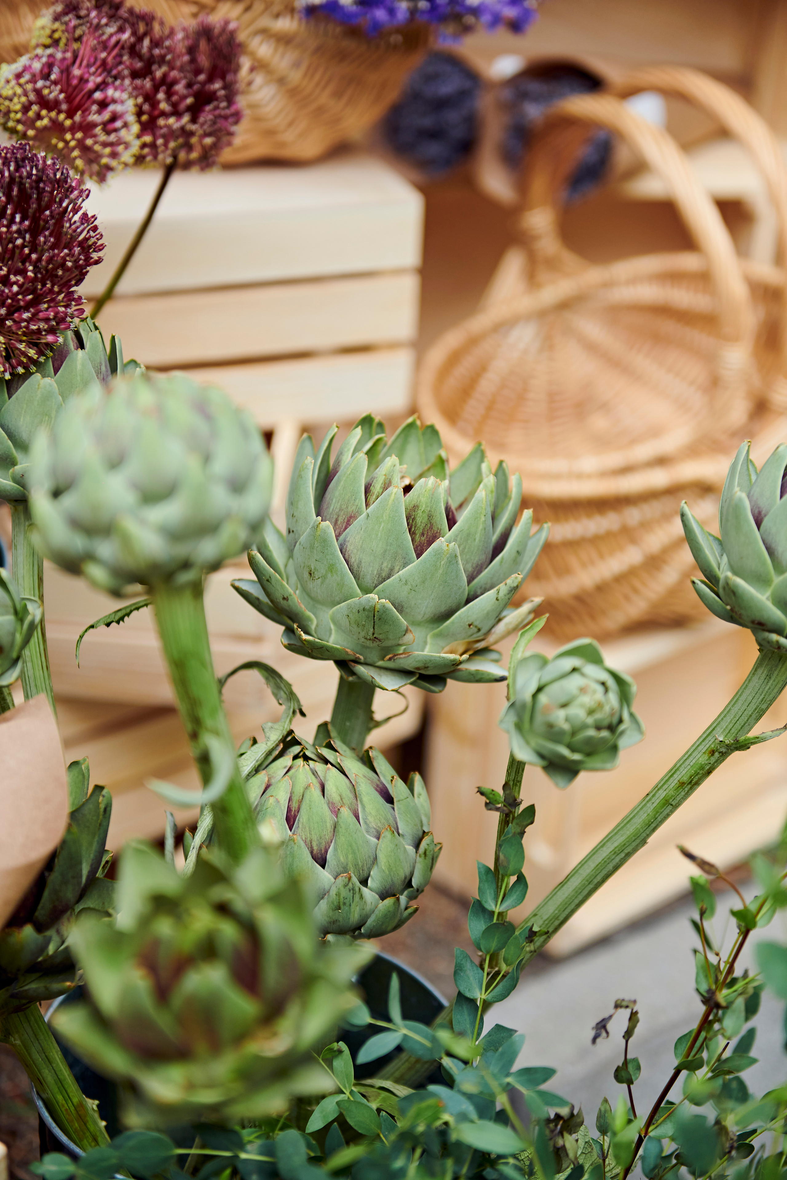 Первый SUMMER FEST by OneLoft. Фотограф Постольник Дарья