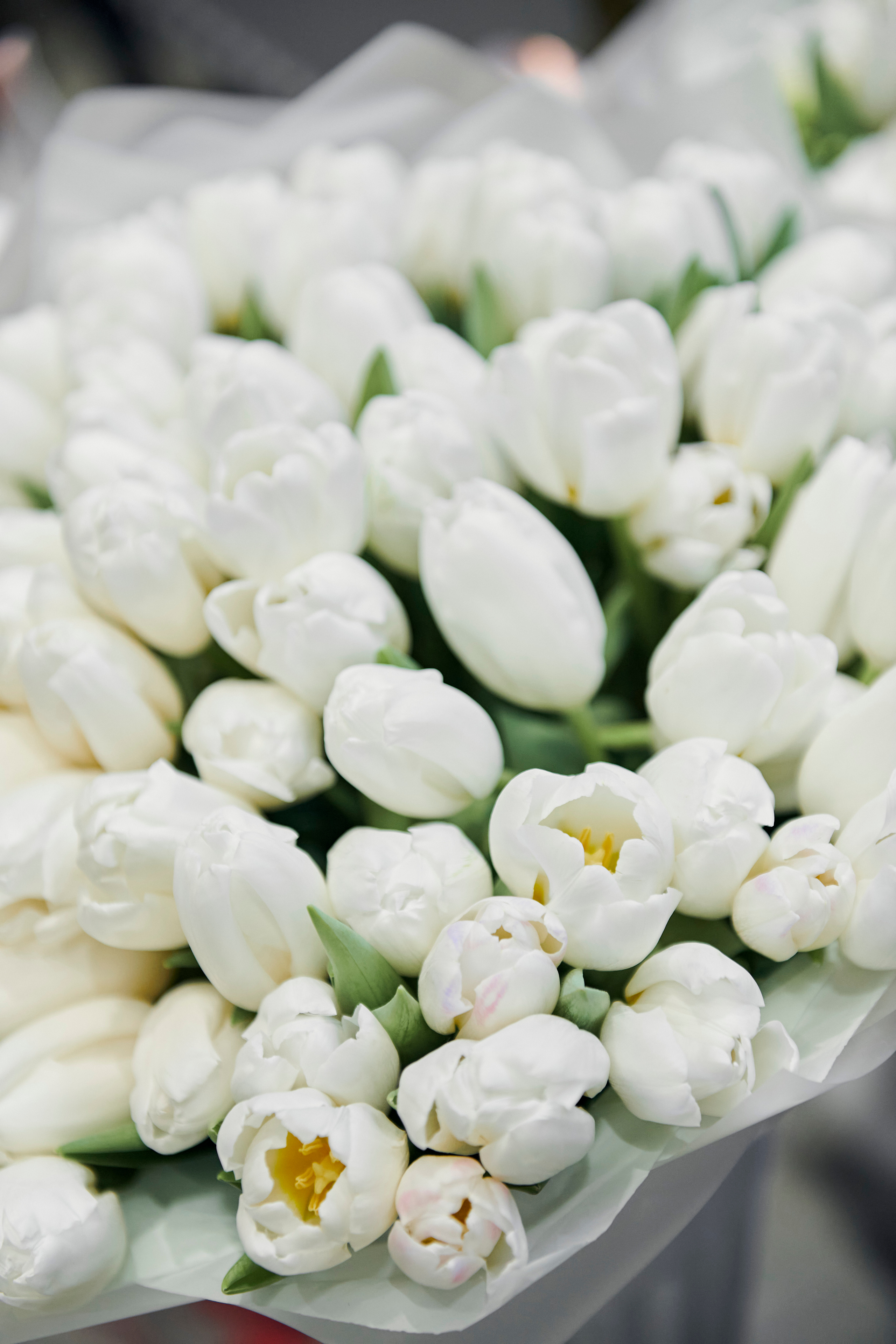 Открытие косметологической клиники VTELO. Фотограф Постольник Дарья