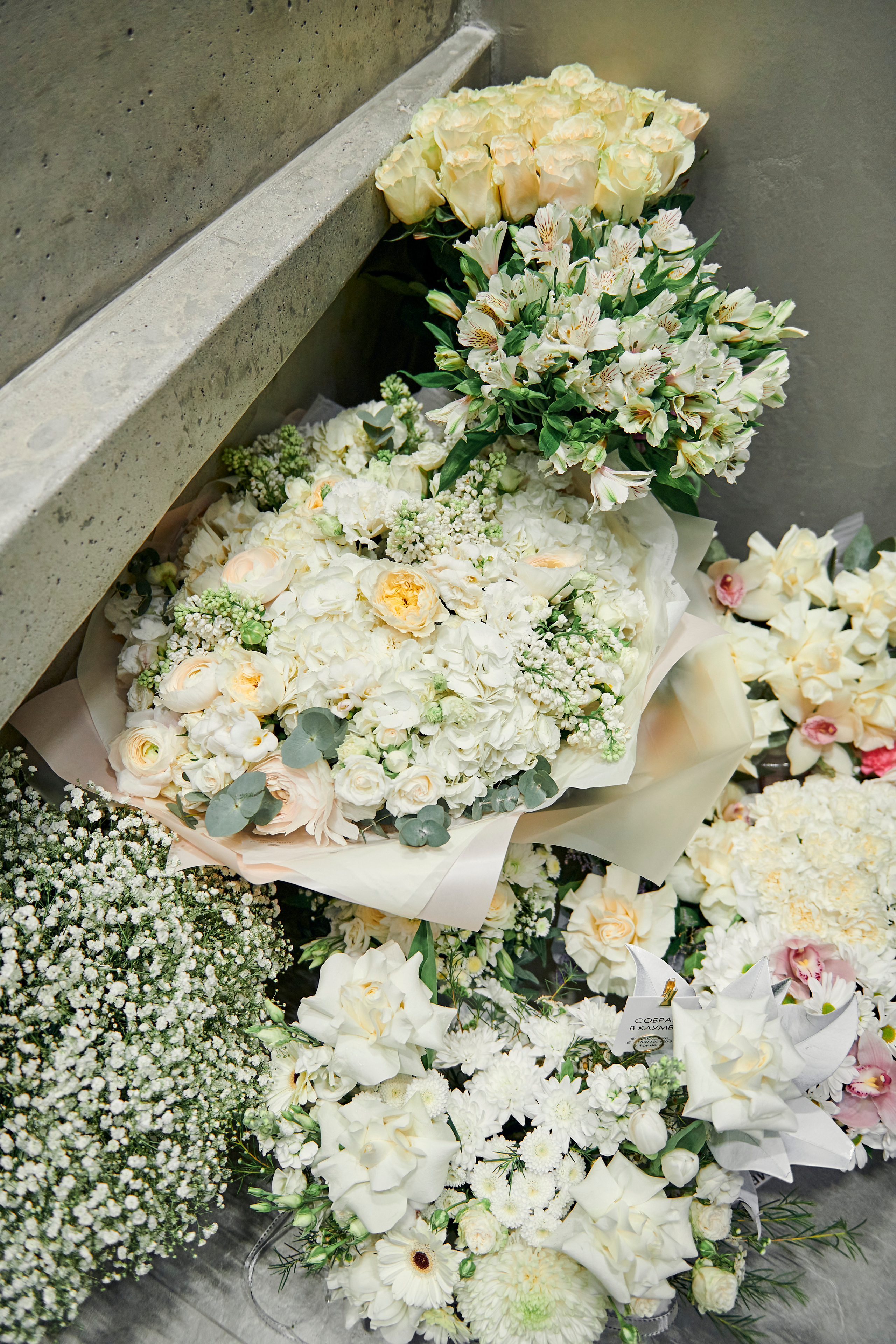 Открытие косметологической клиники VTELO. Фотограф Постольник Дарья