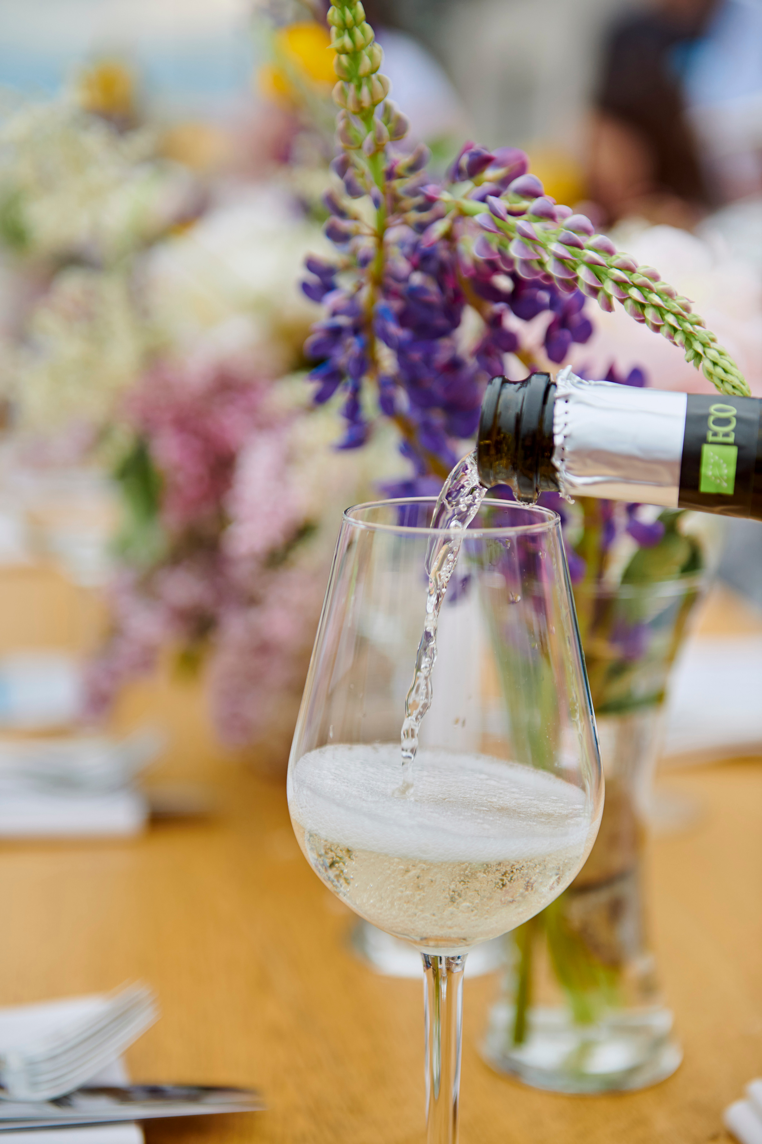 Летний ужин на природе с тремя шефами. Фотограф Постольник Дарья