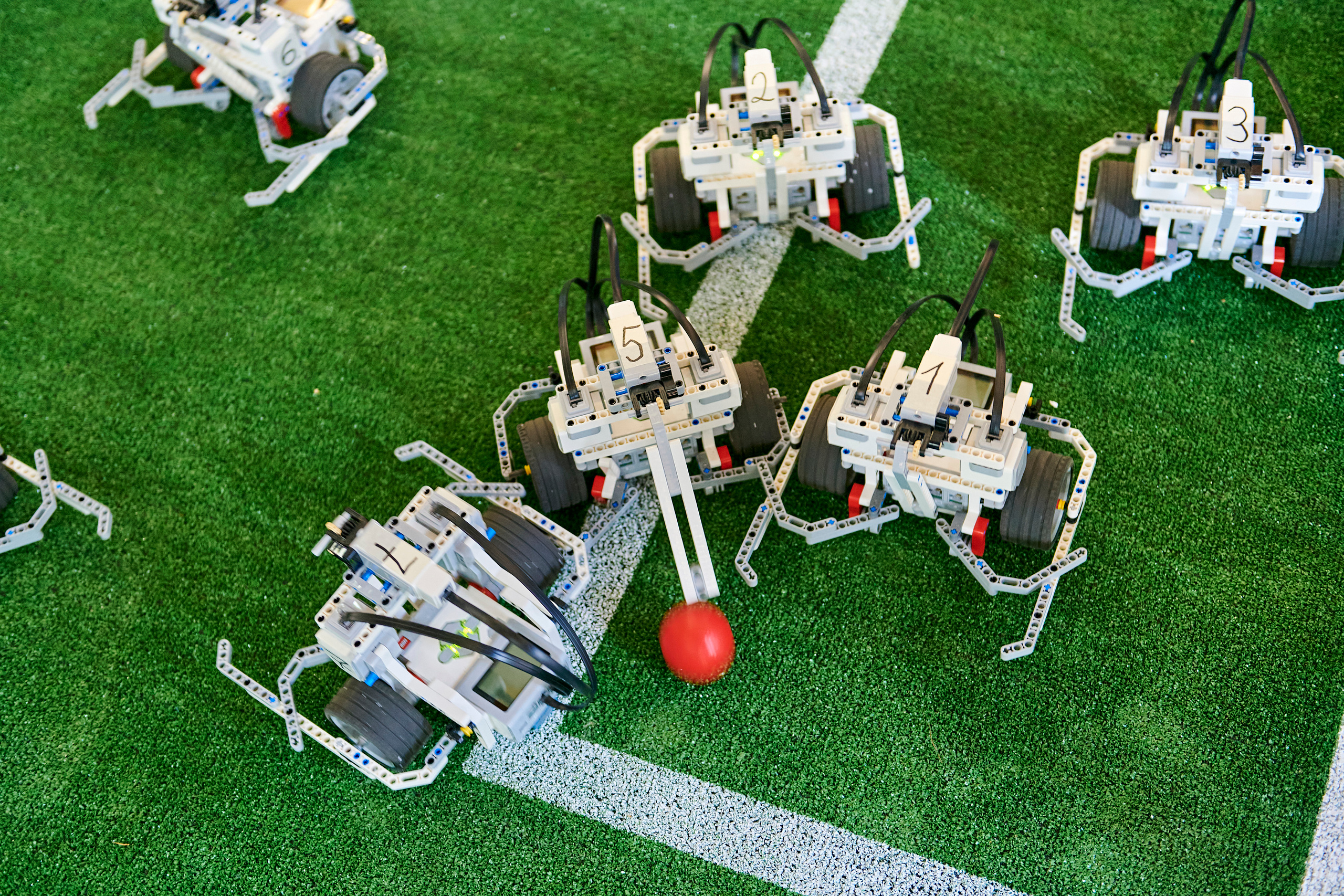 Пикник IT. Фотограф Постольник Дарья