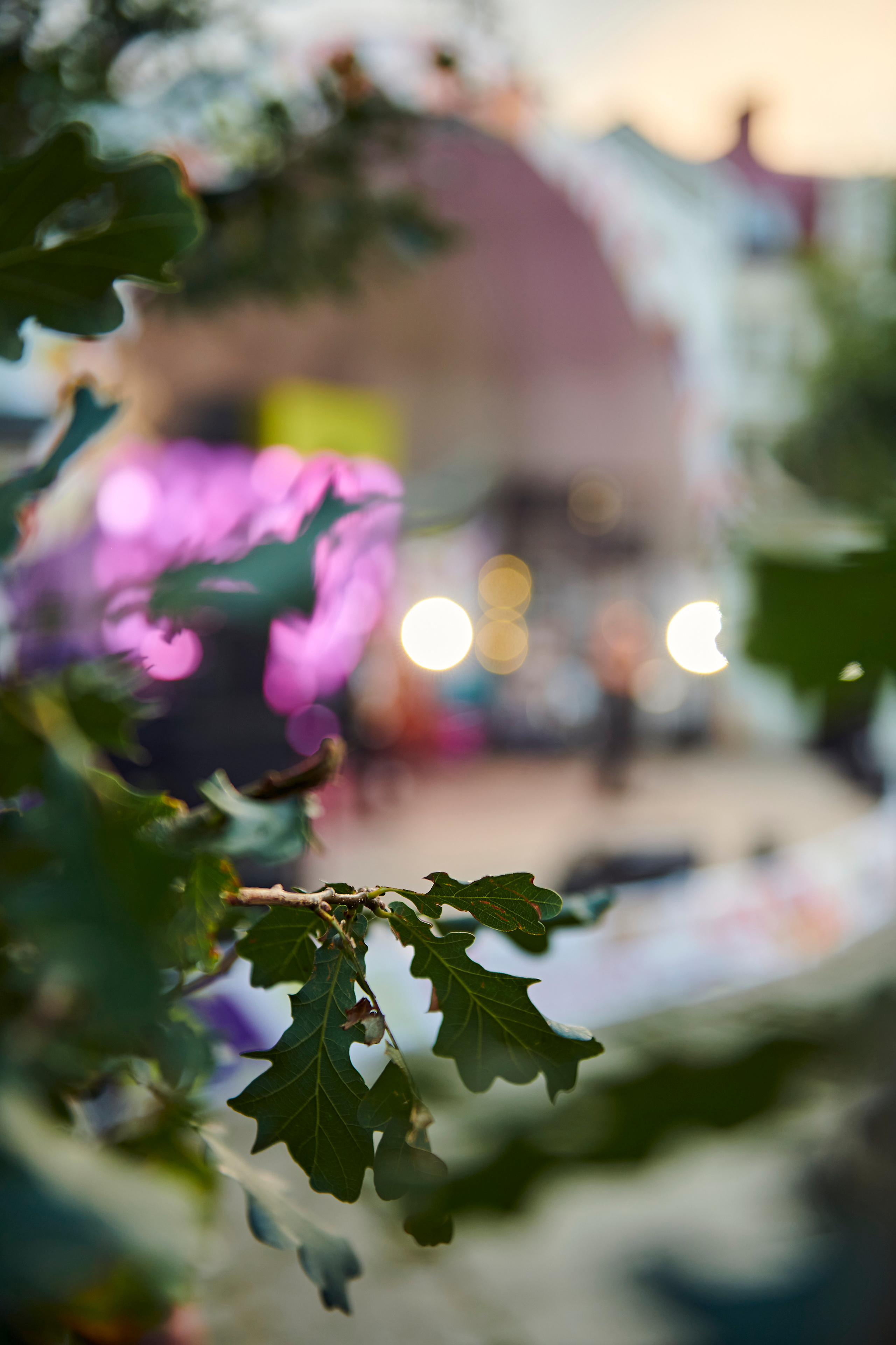 Первый SUMMER FEST by OneLoft. Фотограф Постольник Дарья