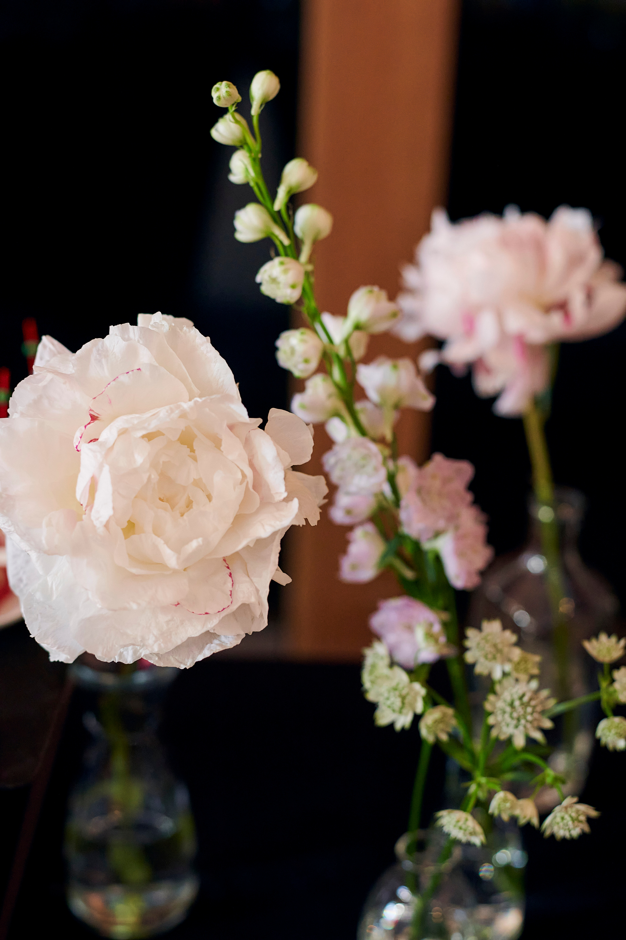 Презентация Mercedes C-класс. Фотограф Постольник Дарья