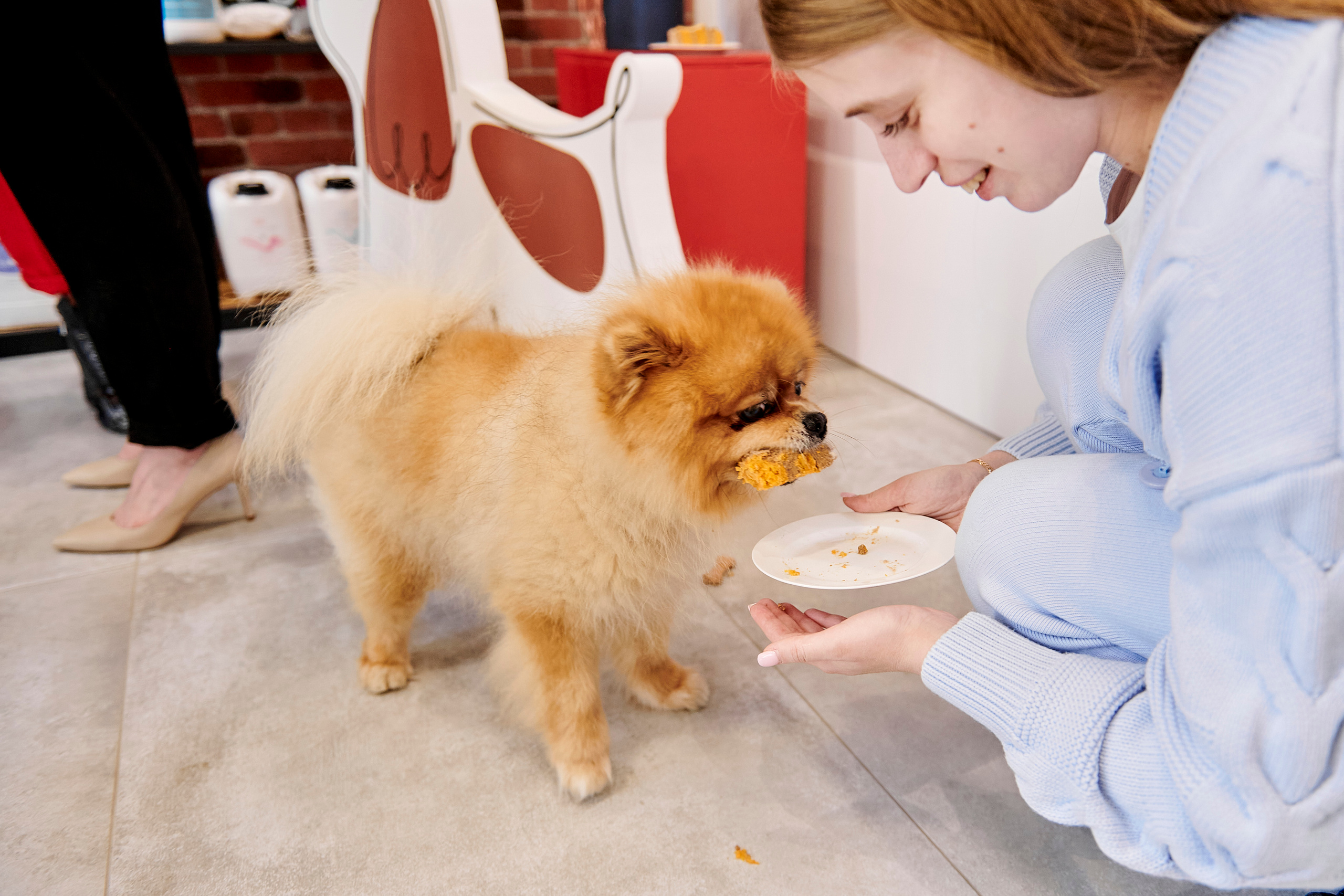 Открытие салона-магазина для животных People & Pets. Фотограф Постольник Дарья