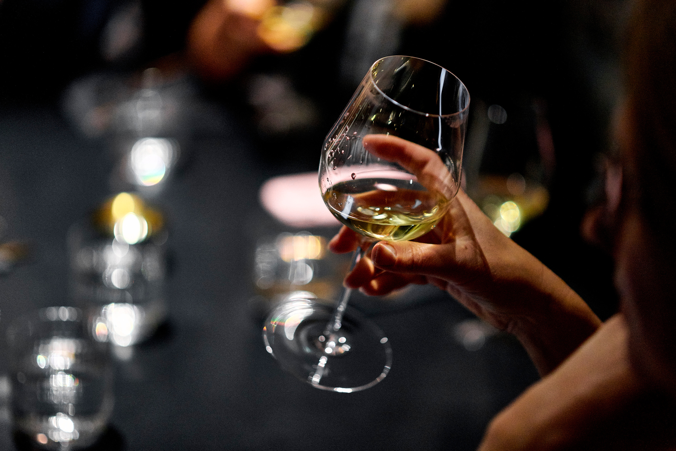 Sekta organic wine bar. Ужин с Аланом Бигати. Фотограф Постольник Дарья