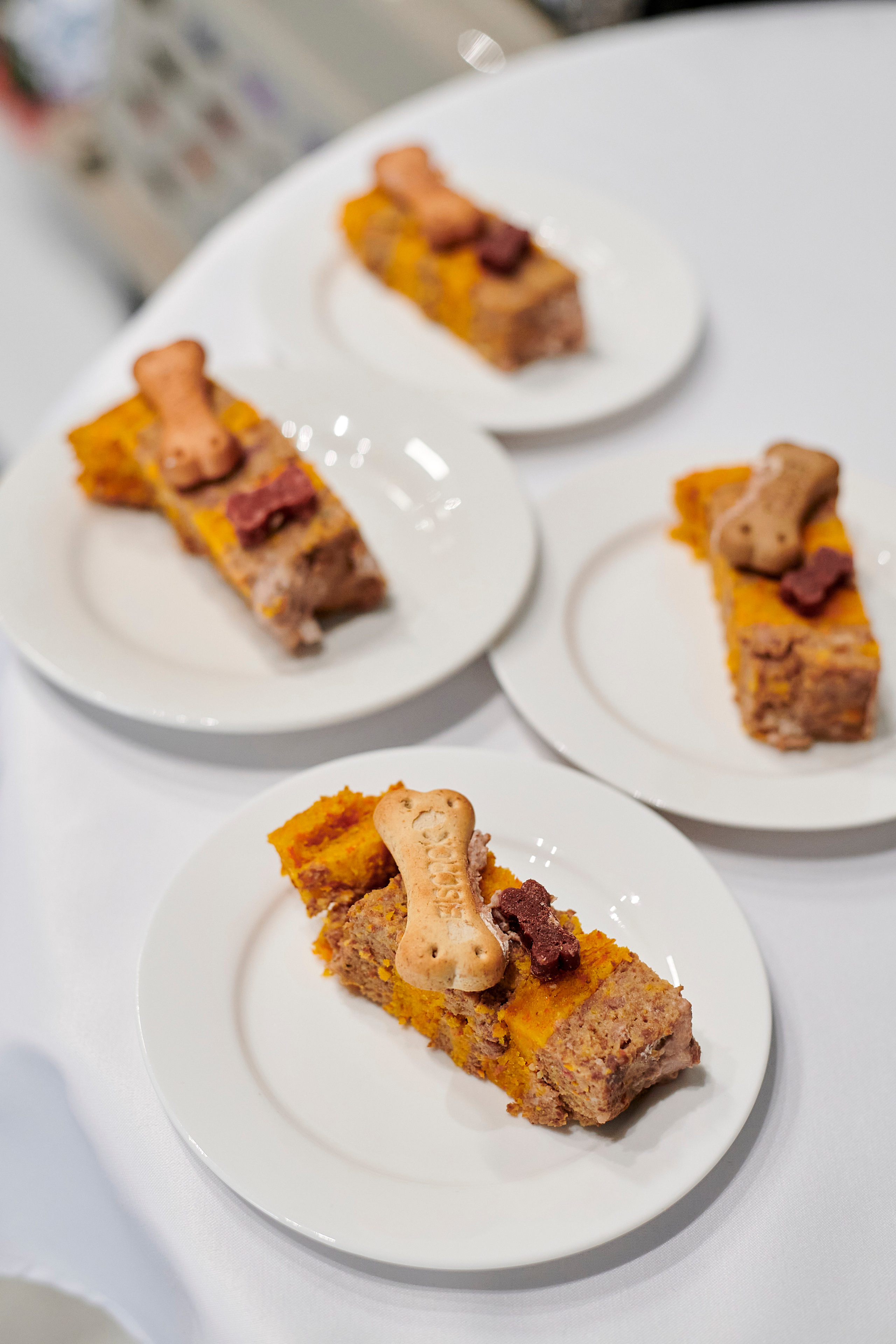 Открытие салона-магазина для животных People & Pets. Фотограф Постольник Дарья