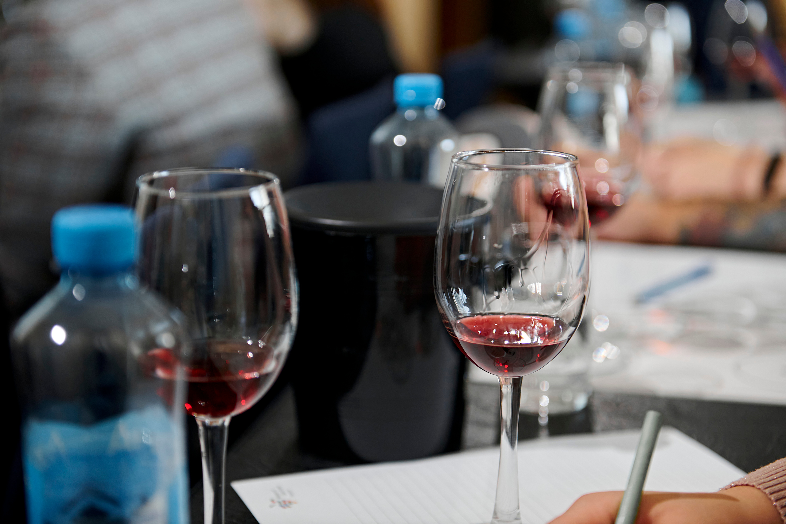 Винная дегустация для сомелье. Фотограф Постольник Дарья