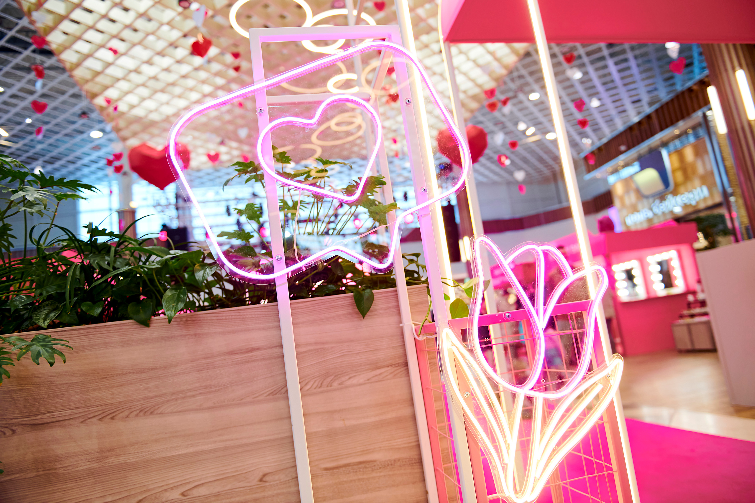 Mega Beauty Day. Фотограф Постольник Дарья