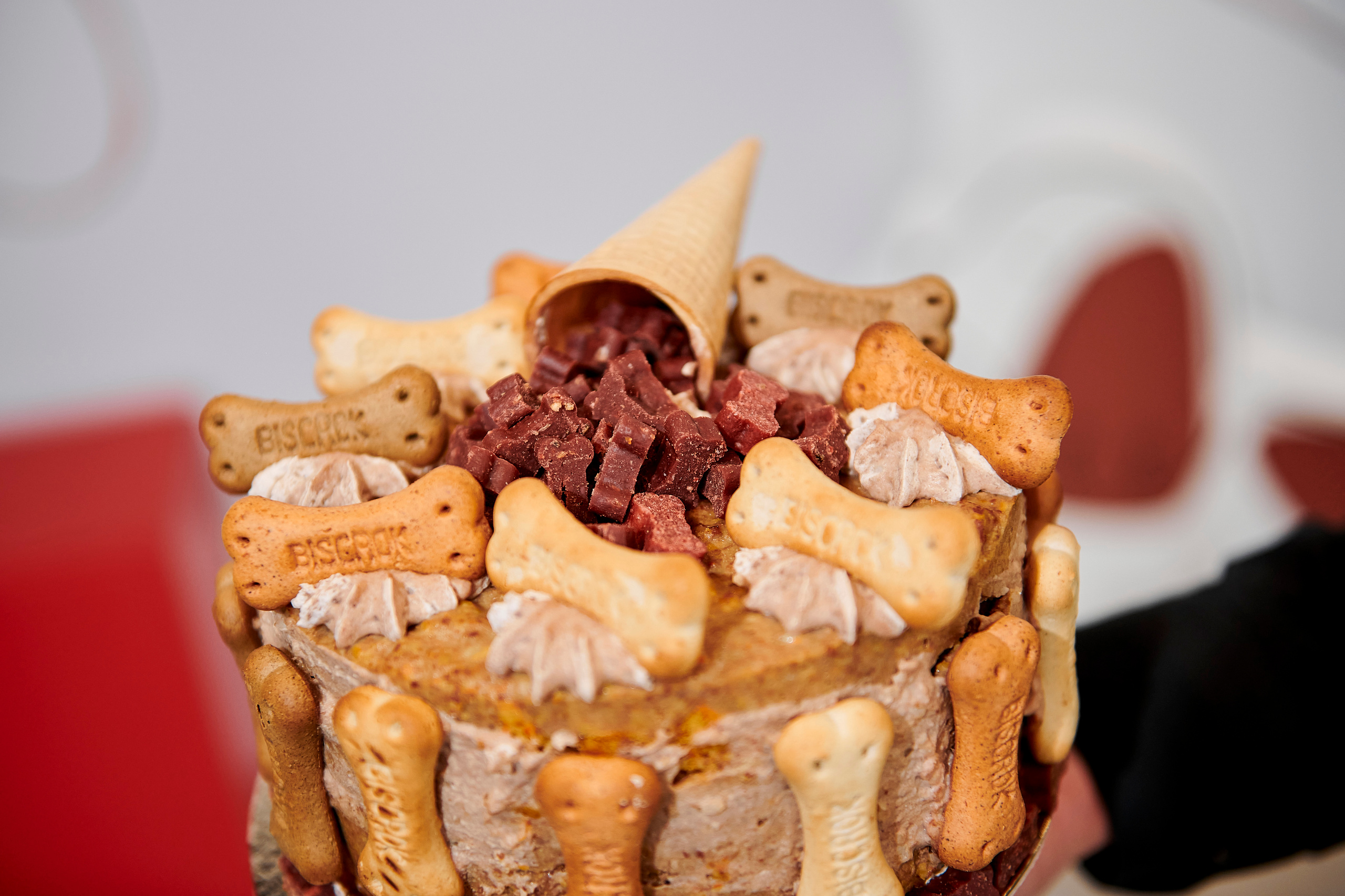 Открытие салона-магазина для животных People & Pets. Фотограф Постольник Дарья