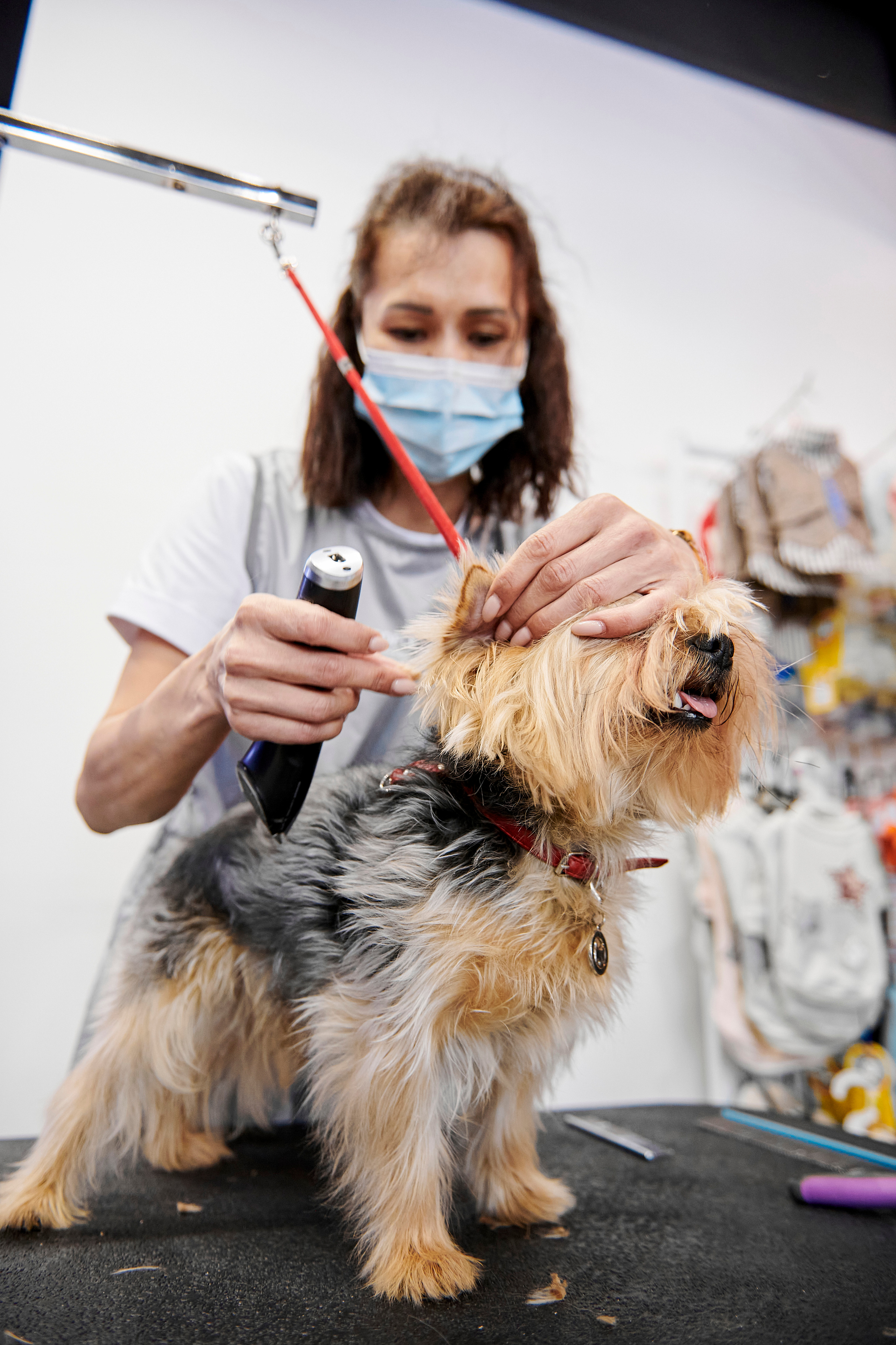 Открытие салона-магазина для животных People & Pets. Фотограф Постольник Дарья