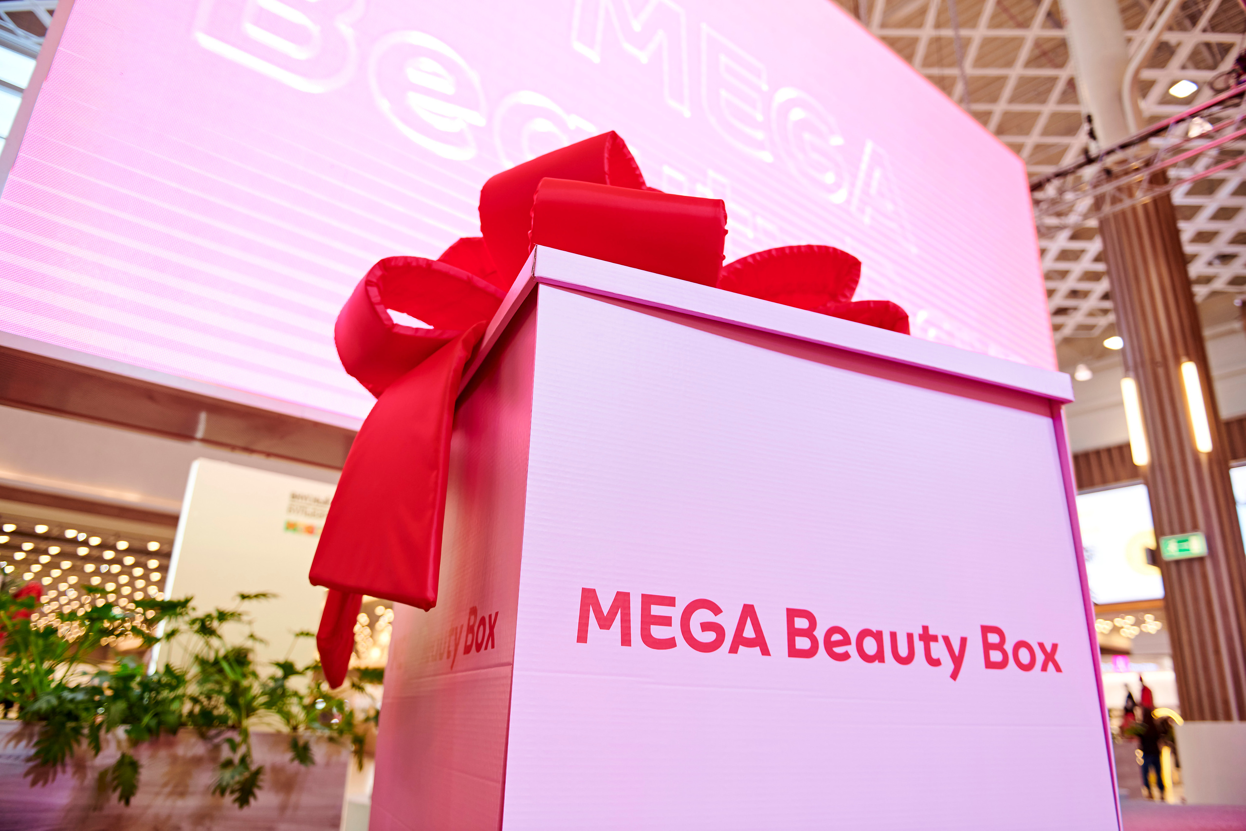 Mega Beauty Day. Фотограф Постольник Дарья