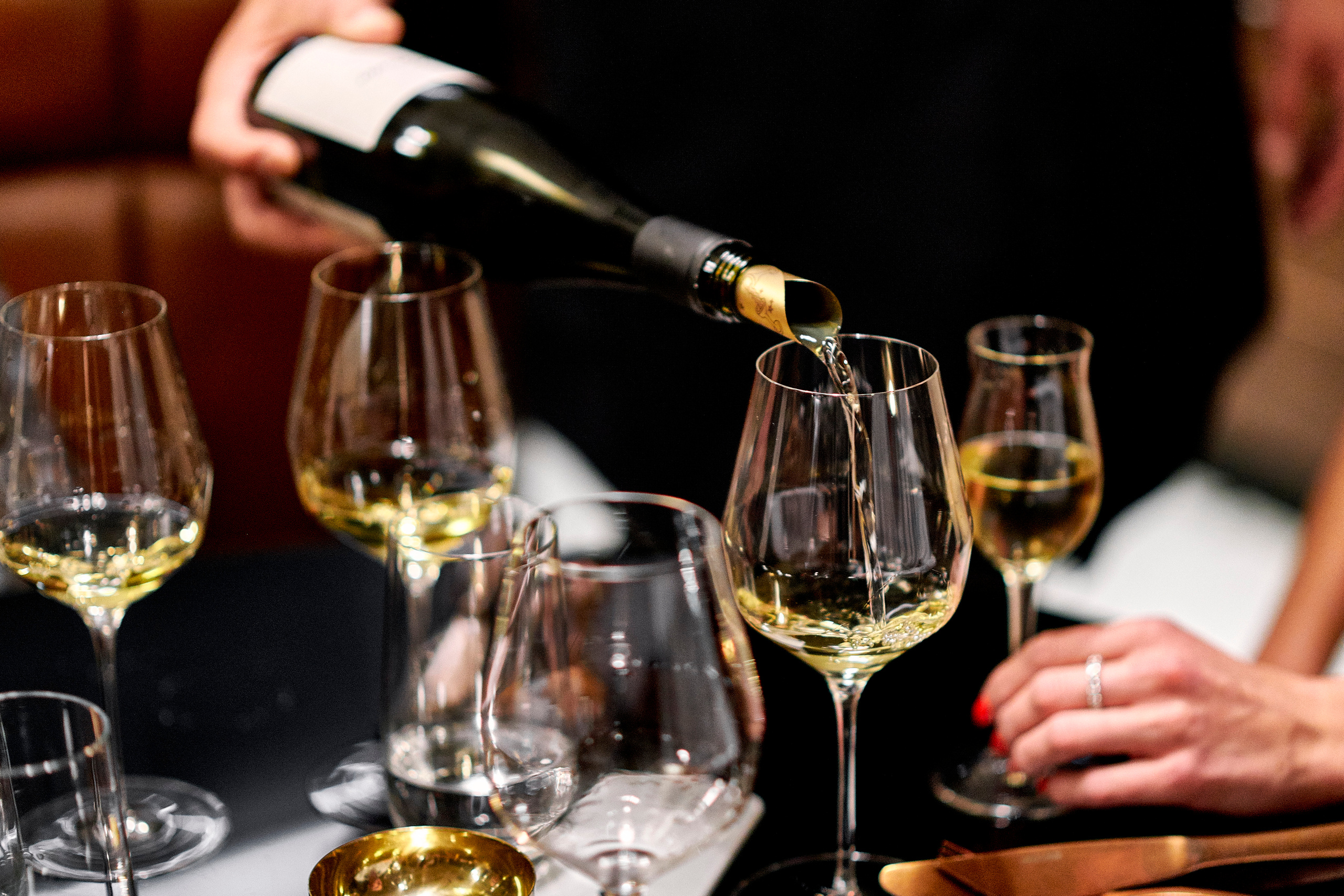 Sekta organic wine bar. Ужин с Аланом Бигати. Фотограф Постольник Дарья