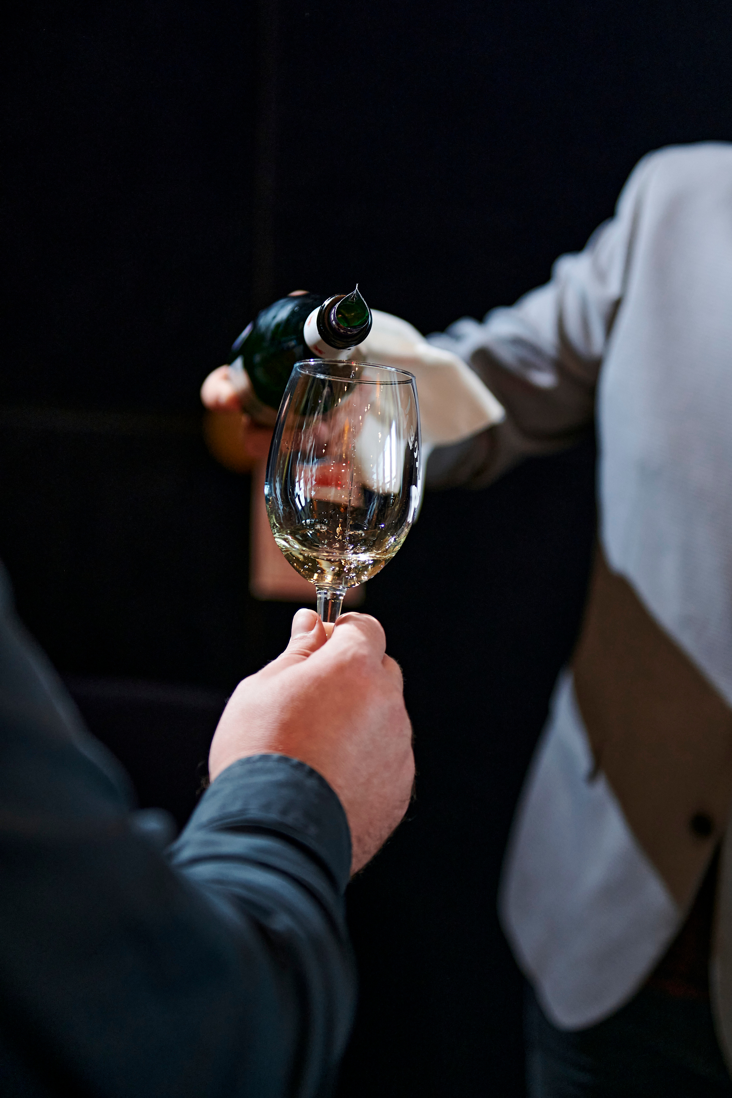 Винная дегустация для сомелье. Фотограф Постольник Дарья