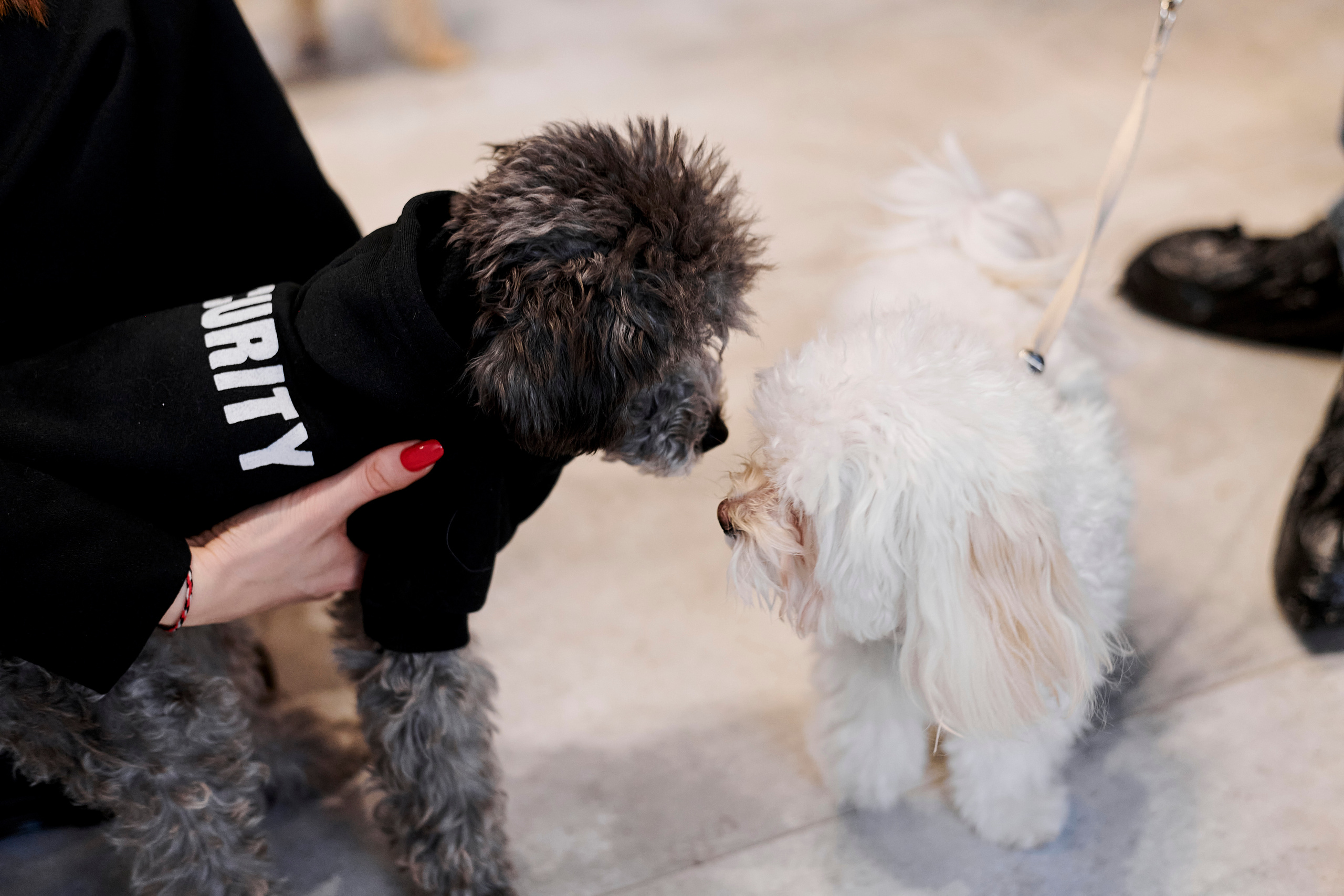 Открытие салона-магазина для животных People & Pets. Фотограф Постольник Дарья