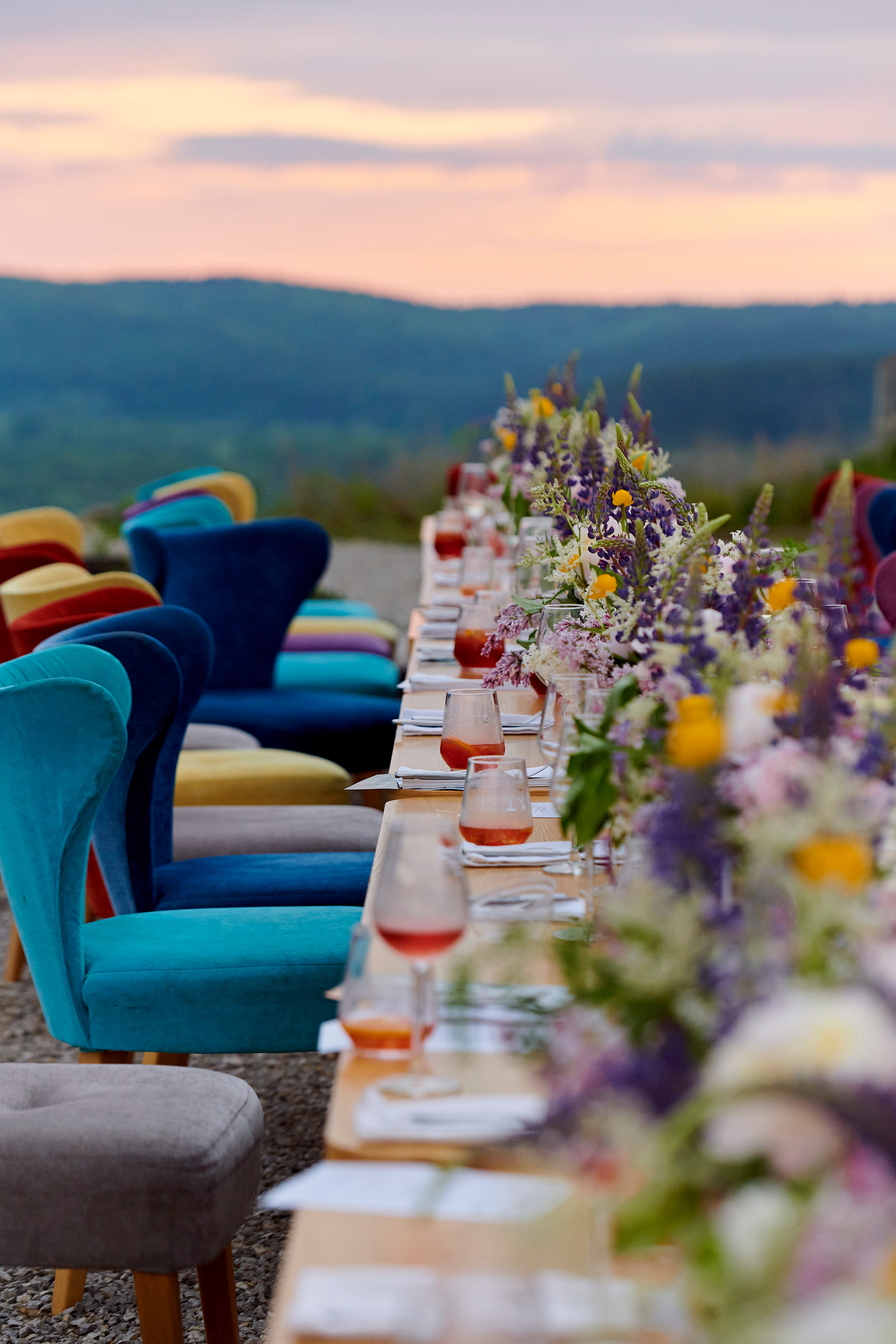 Летний ужин на природе с тремя шефами. Фотограф Постольник Дарья