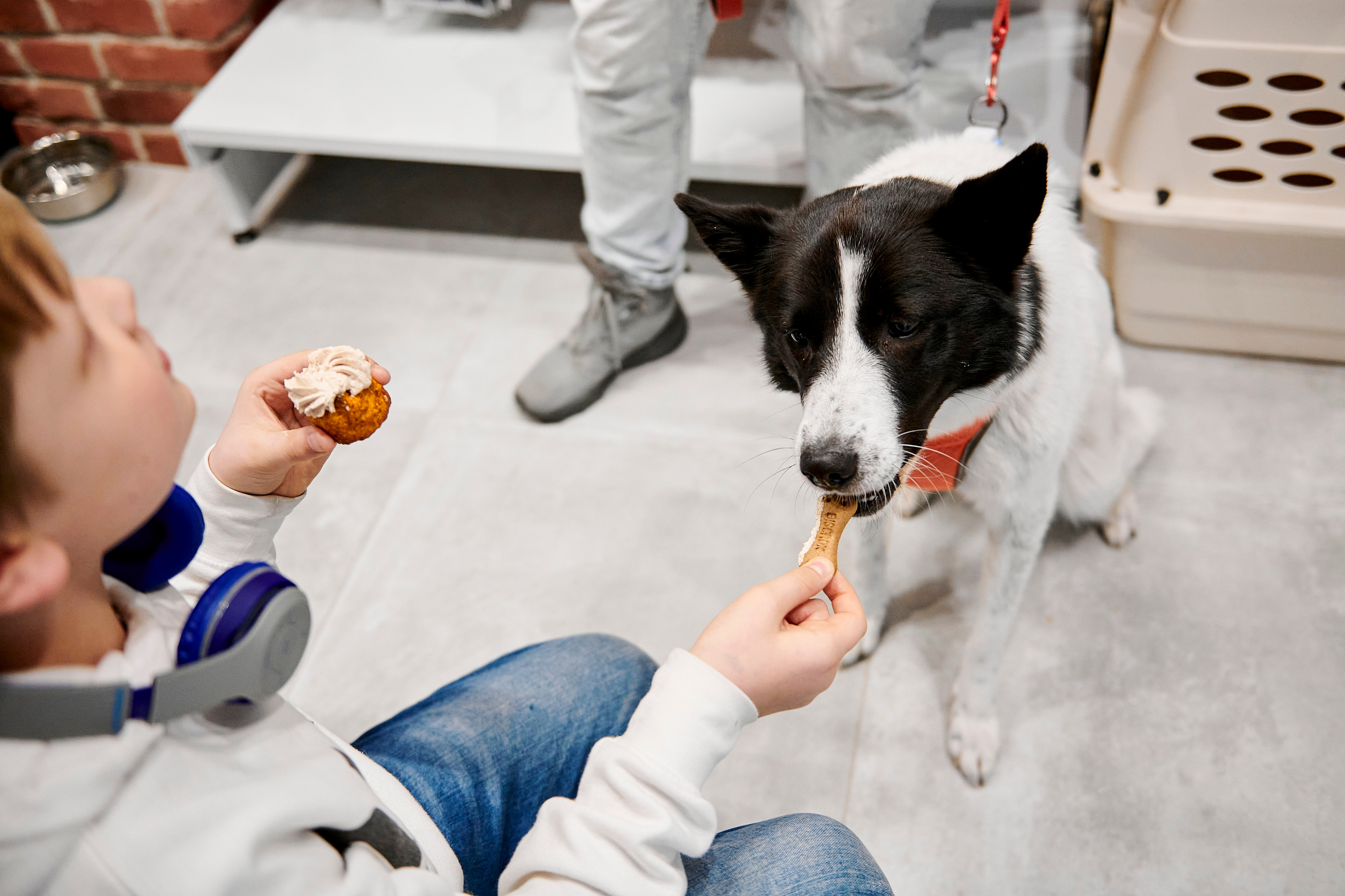 Открытие салона-магазина для животных People & Pets. Фотограф Постольник Дарья