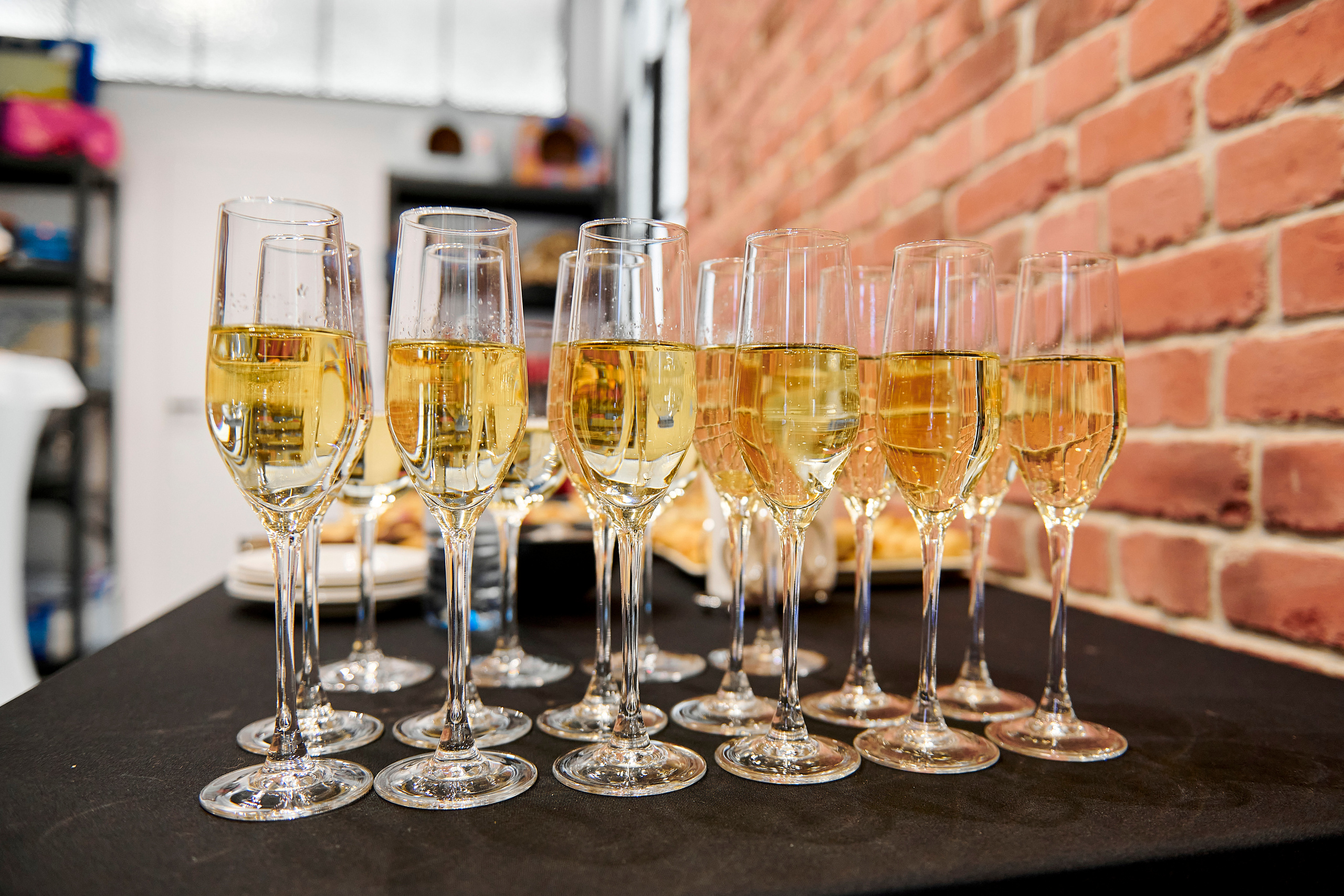 Открытие салона-магазина для животных People & Pets. Фотограф Постольник Дарья