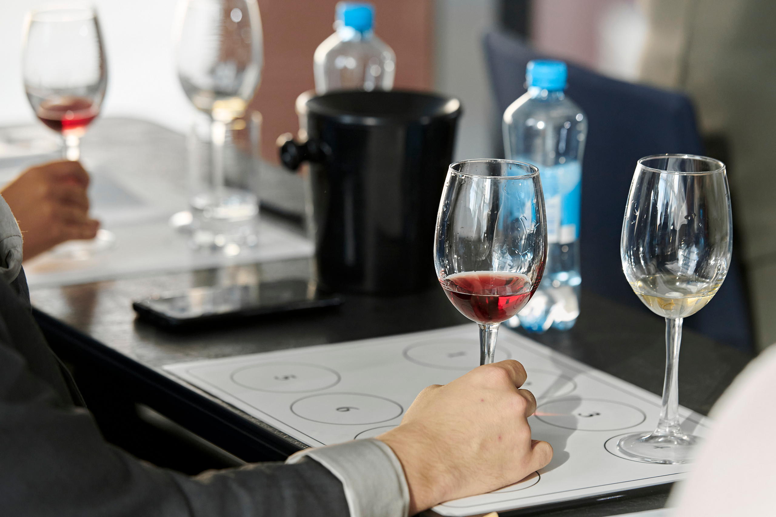 Винная дегустация для сомелье. Фотограф Постольник Дарья