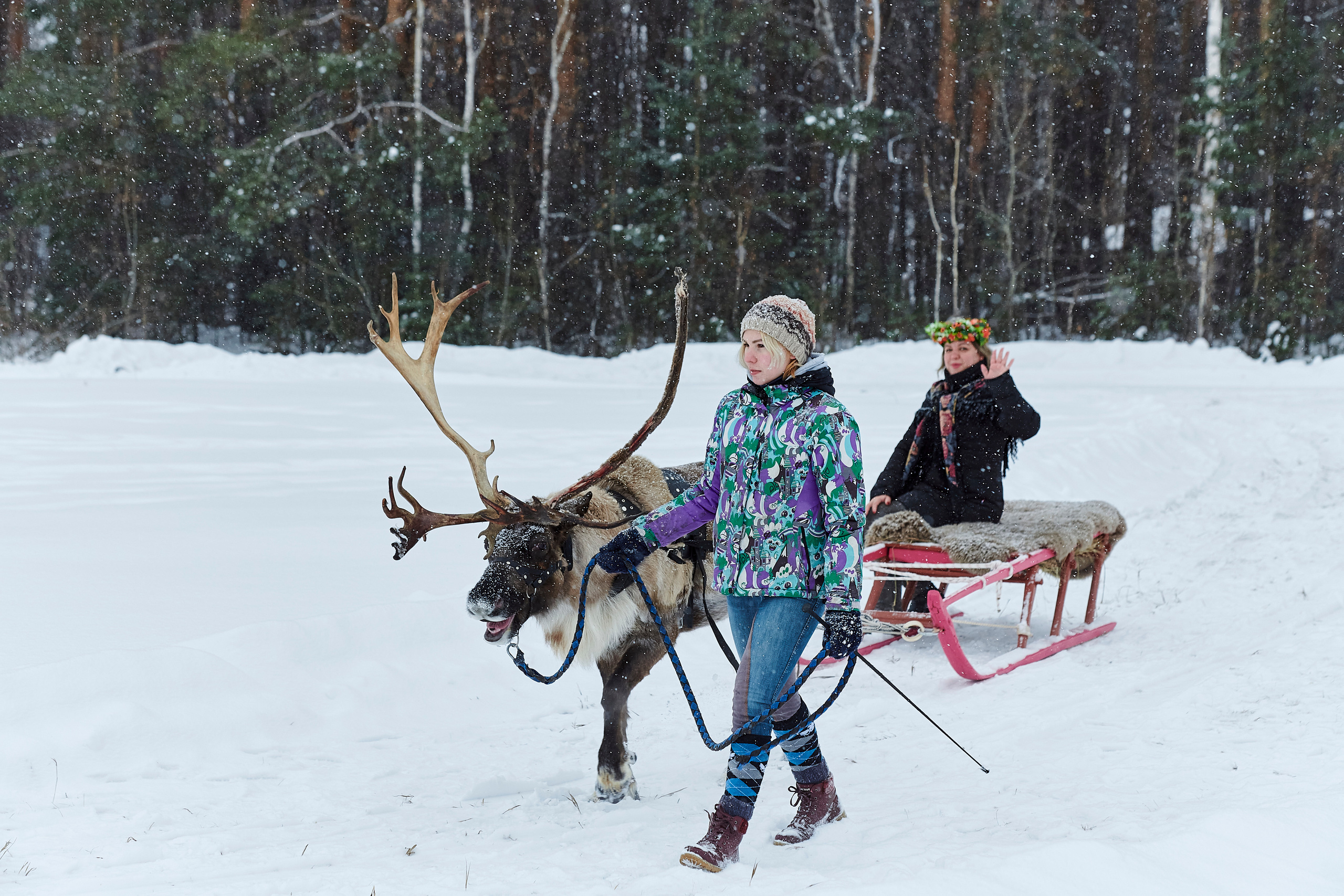 Зимний праздник для Нипигормаш. Фотограф Постольник Дарья
