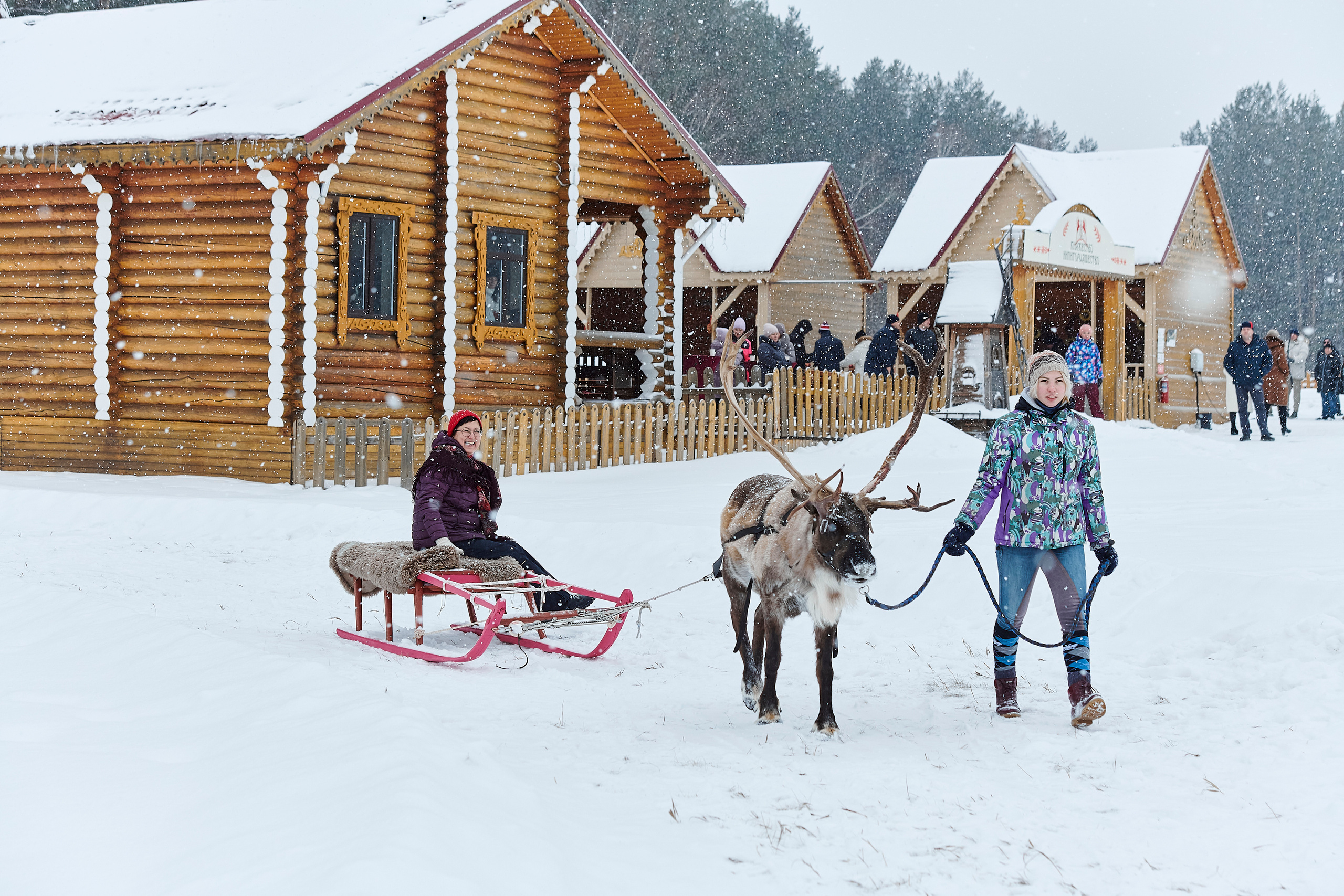 Зимний праздник для Нипигормаш. Фотограф Постольник Дарья