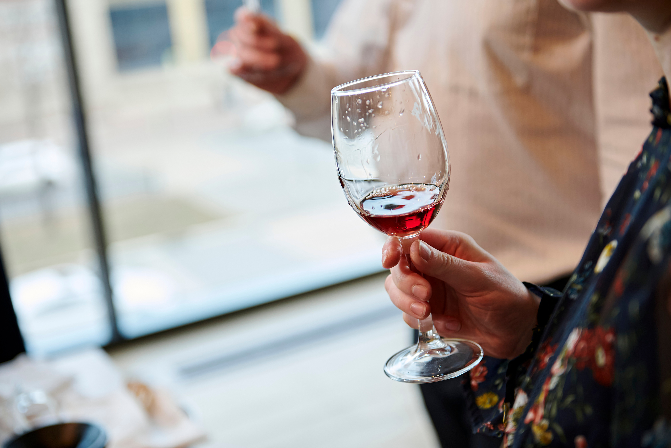 Винная дегустация для сомелье. Фотограф Постольник Дарья