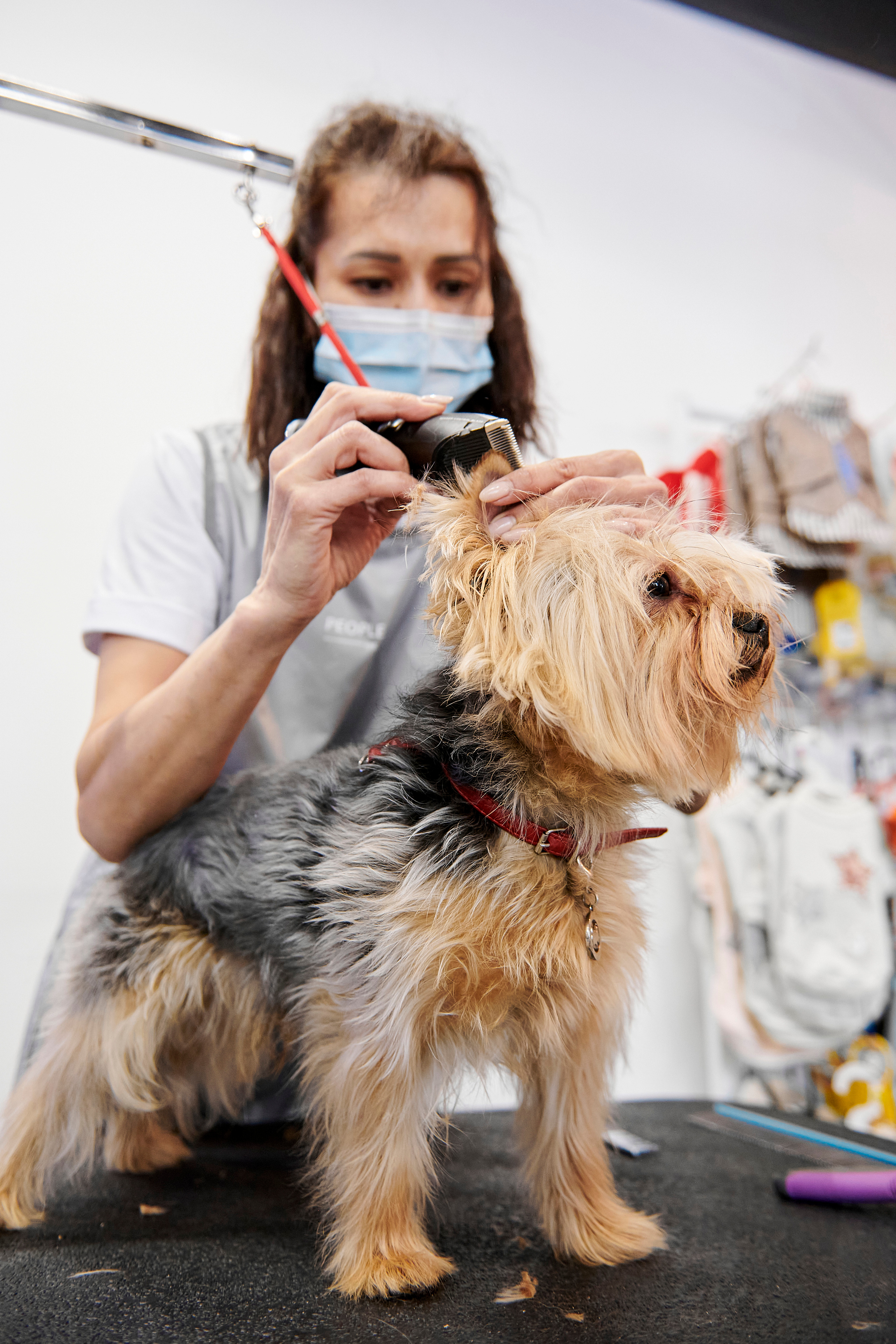 Открытие салона-магазина для животных People & Pets. Фотограф Постольник Дарья