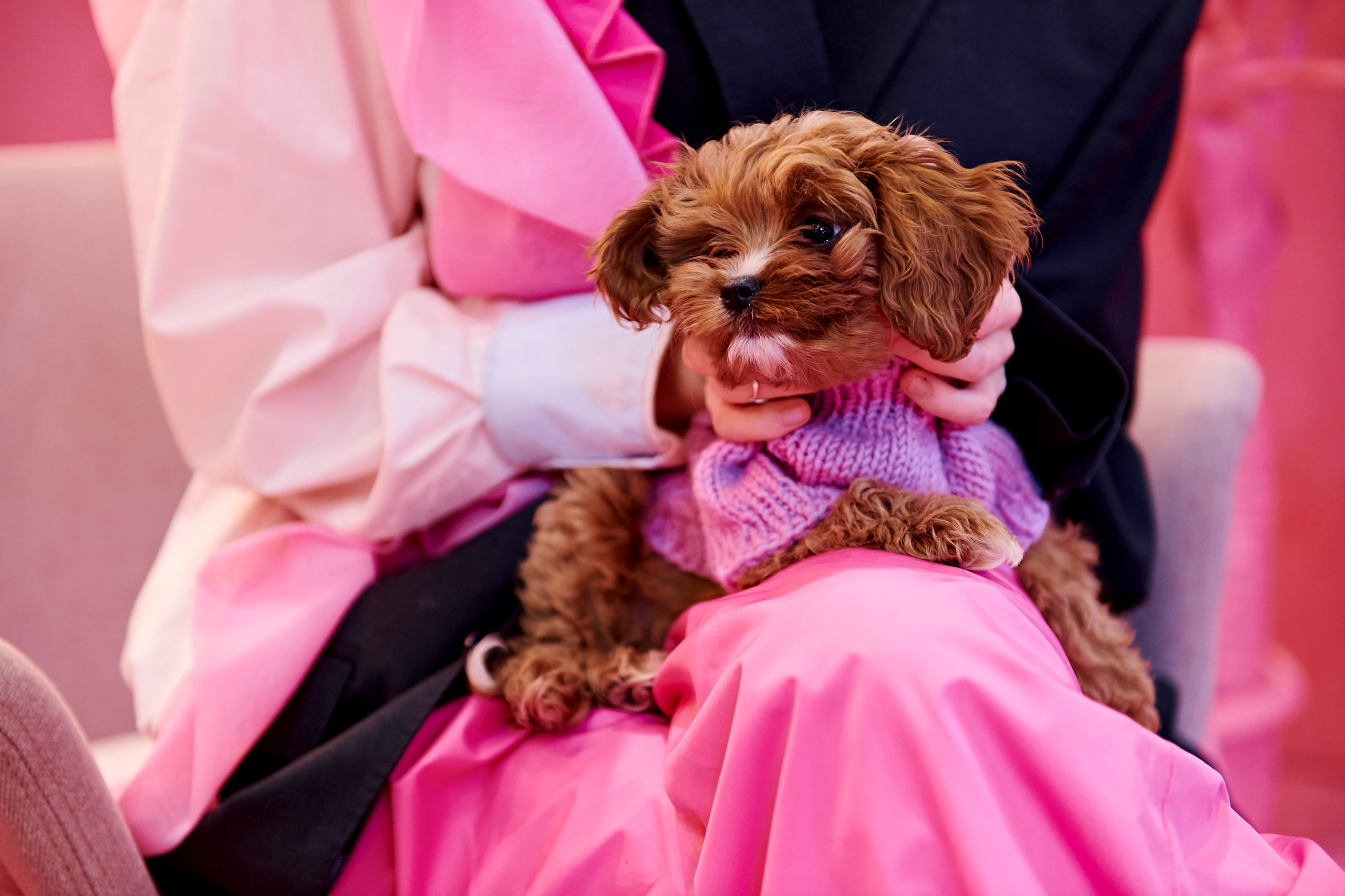 Mega Beauty Day. Фотограф Постольник Дарья