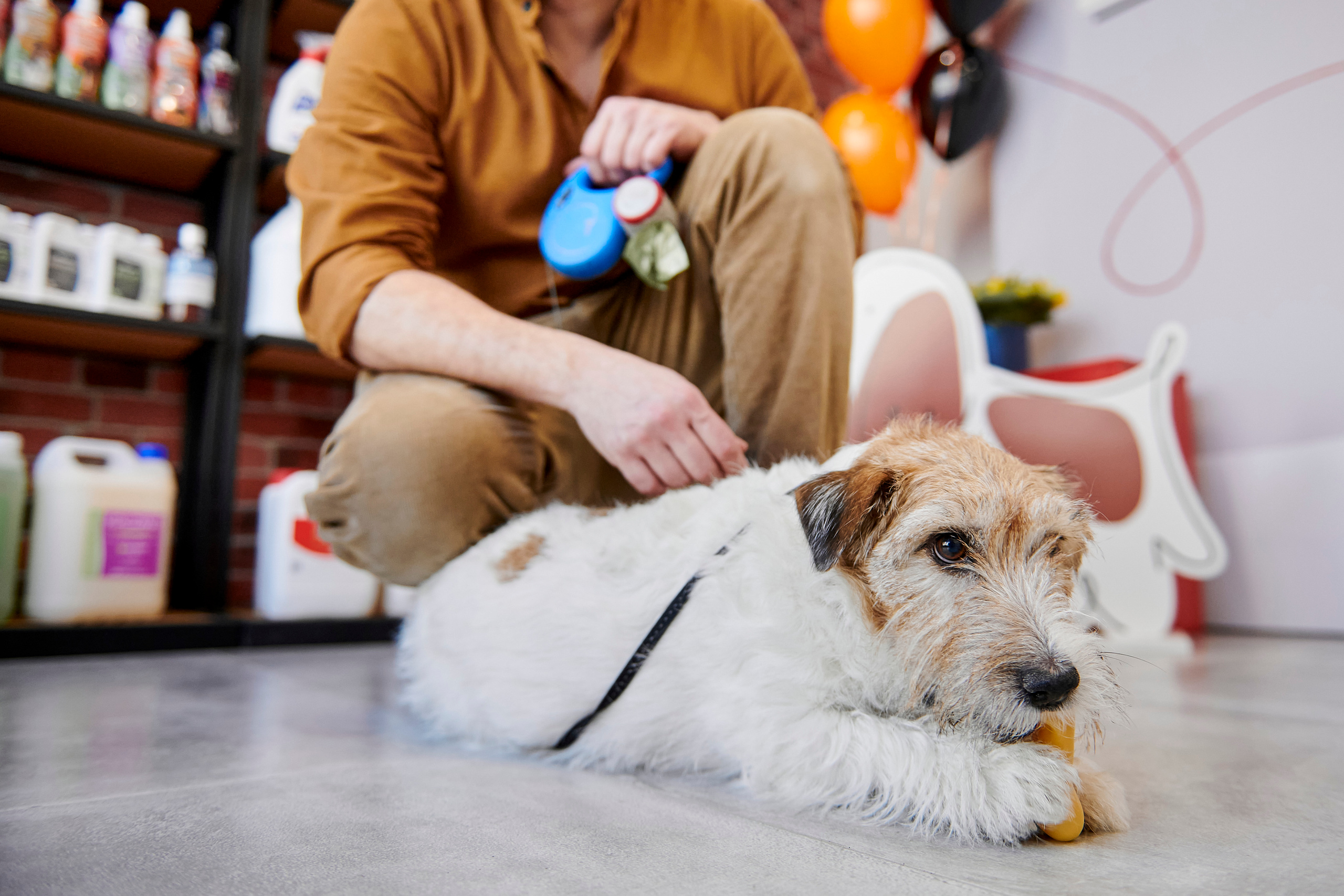 Открытие салона-магазина для животных People & Pets. Фотограф Постольник Дарья