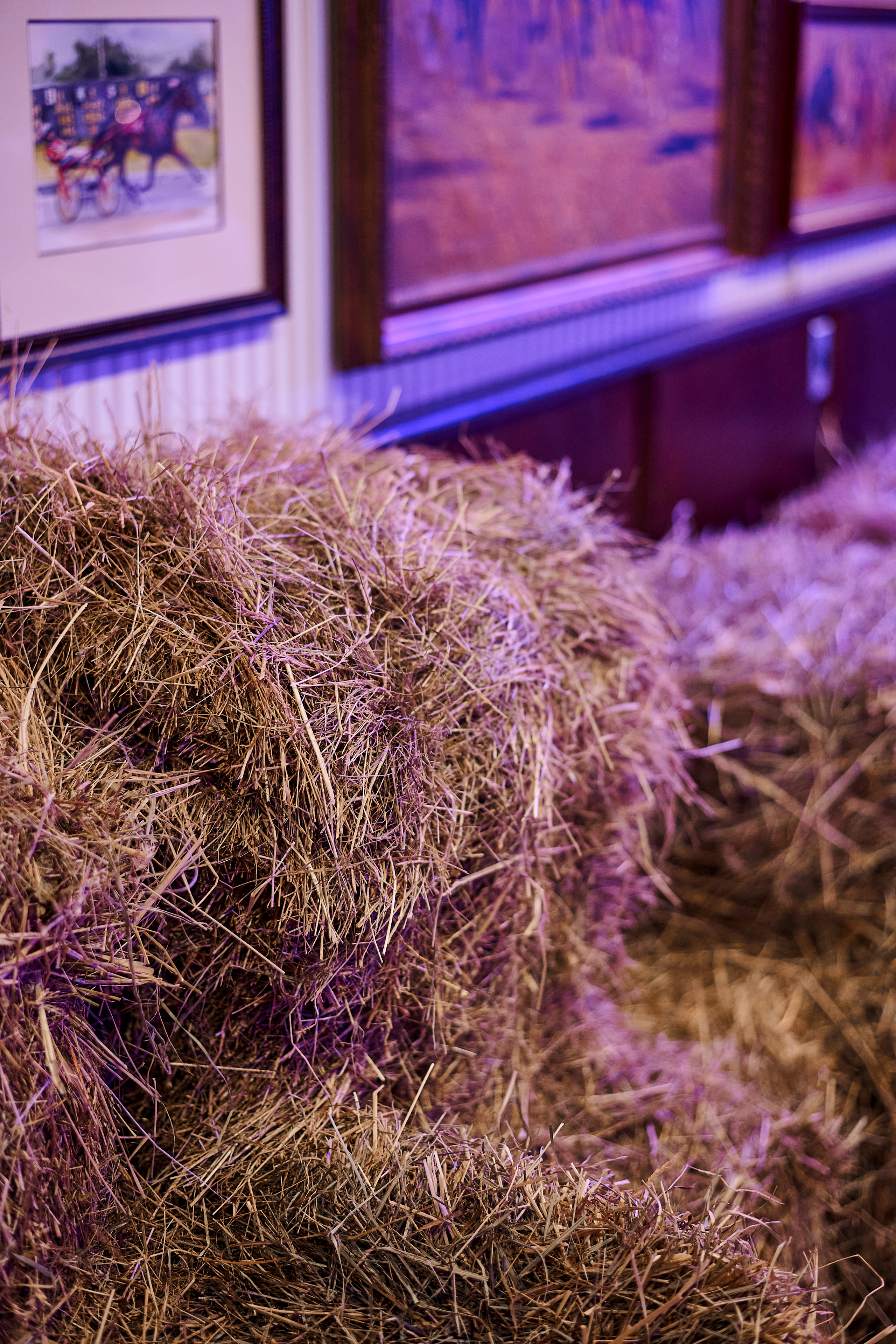 Модный показ «Кашемир и Шелк». Фотограф Постольник Дарья