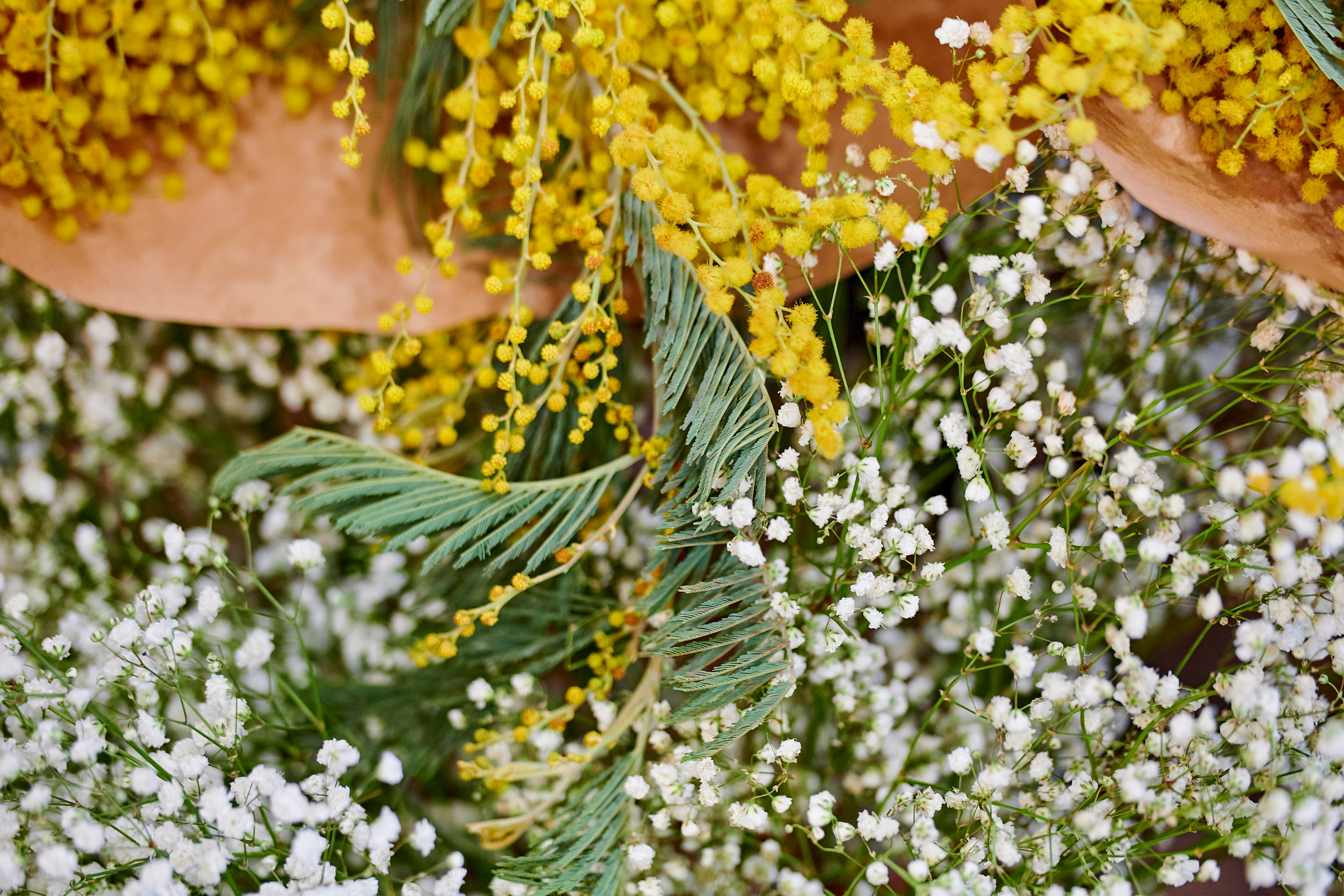 Mega Beauty Day. Фотограф Постольник Дарья