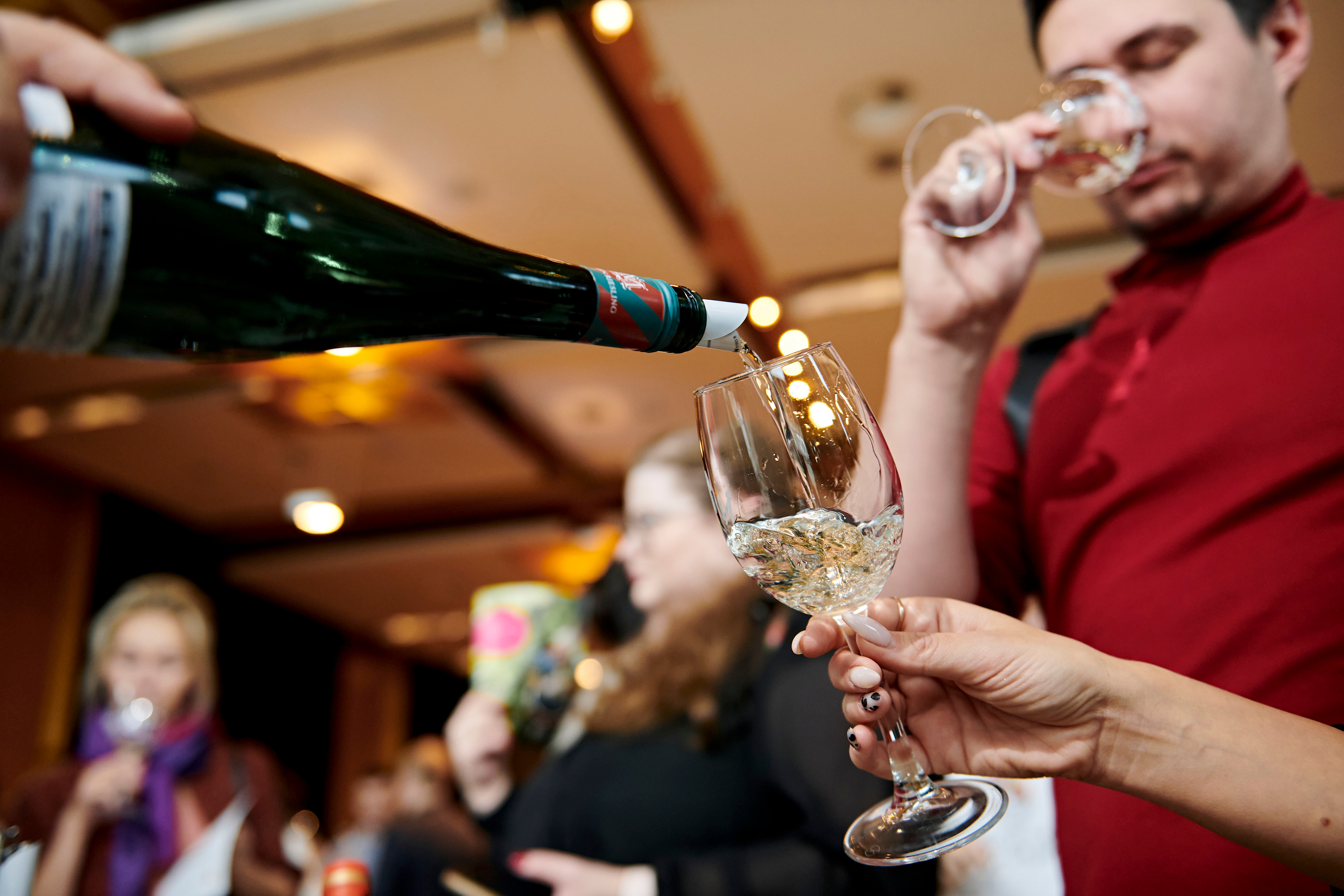 Винная дегустация для сомелье. Фотограф Постольник Дарья