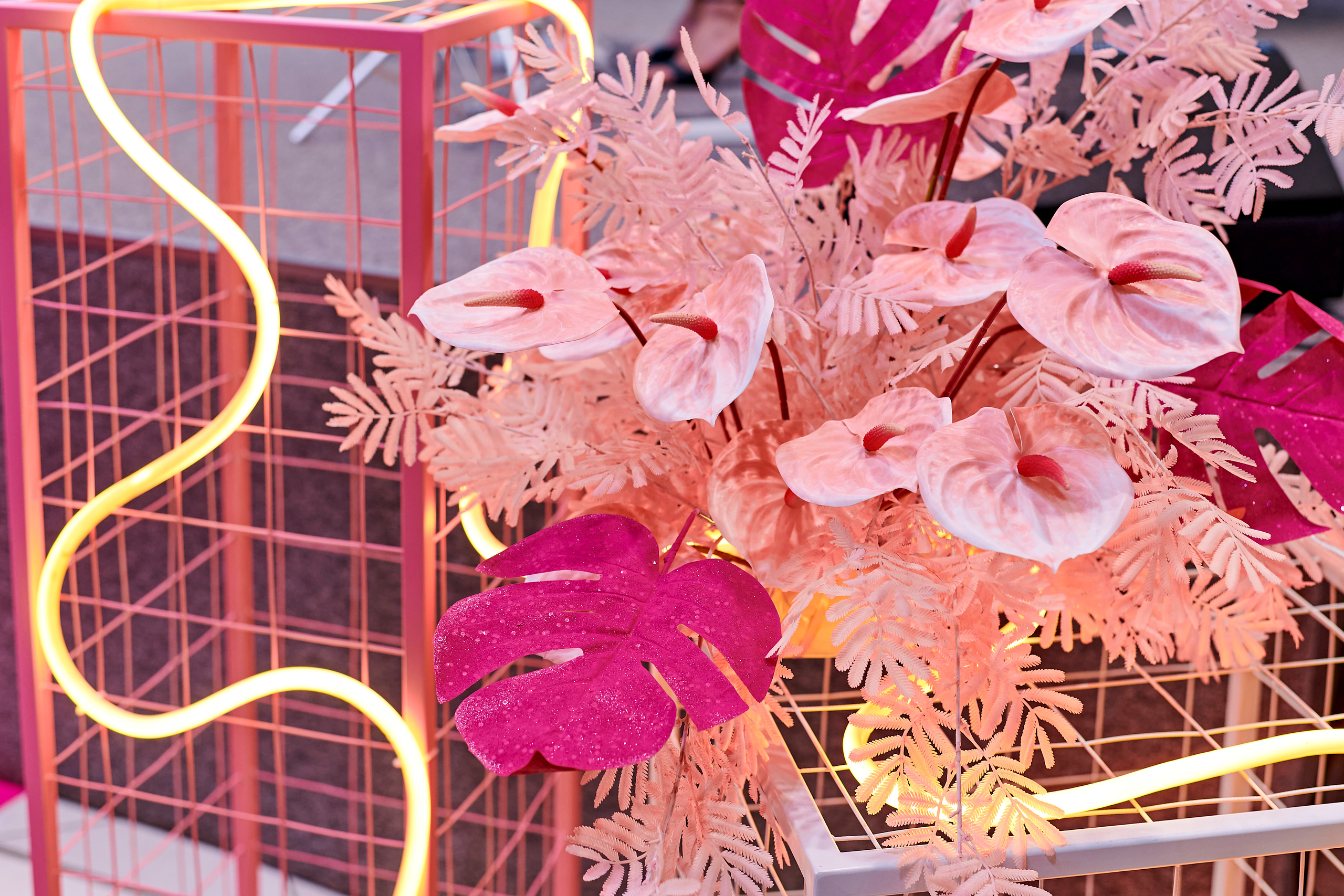 Mega Beauty Day. Фотограф Постольник Дарья