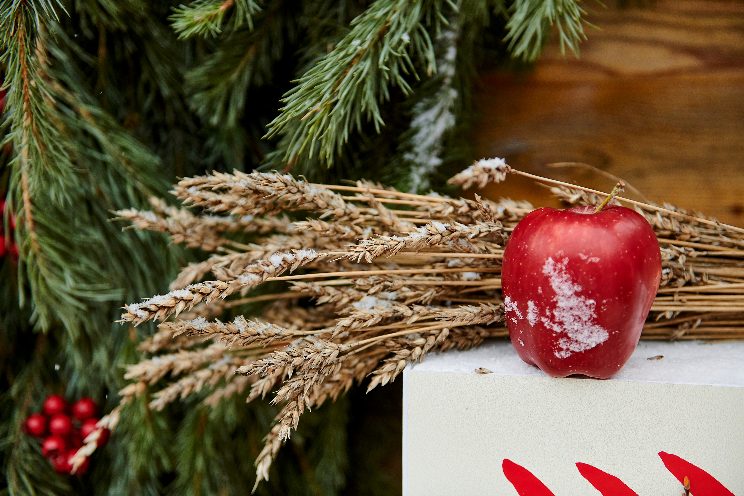 Зимний праздник для Нипигормаш. Фотограф Постольник Дарья