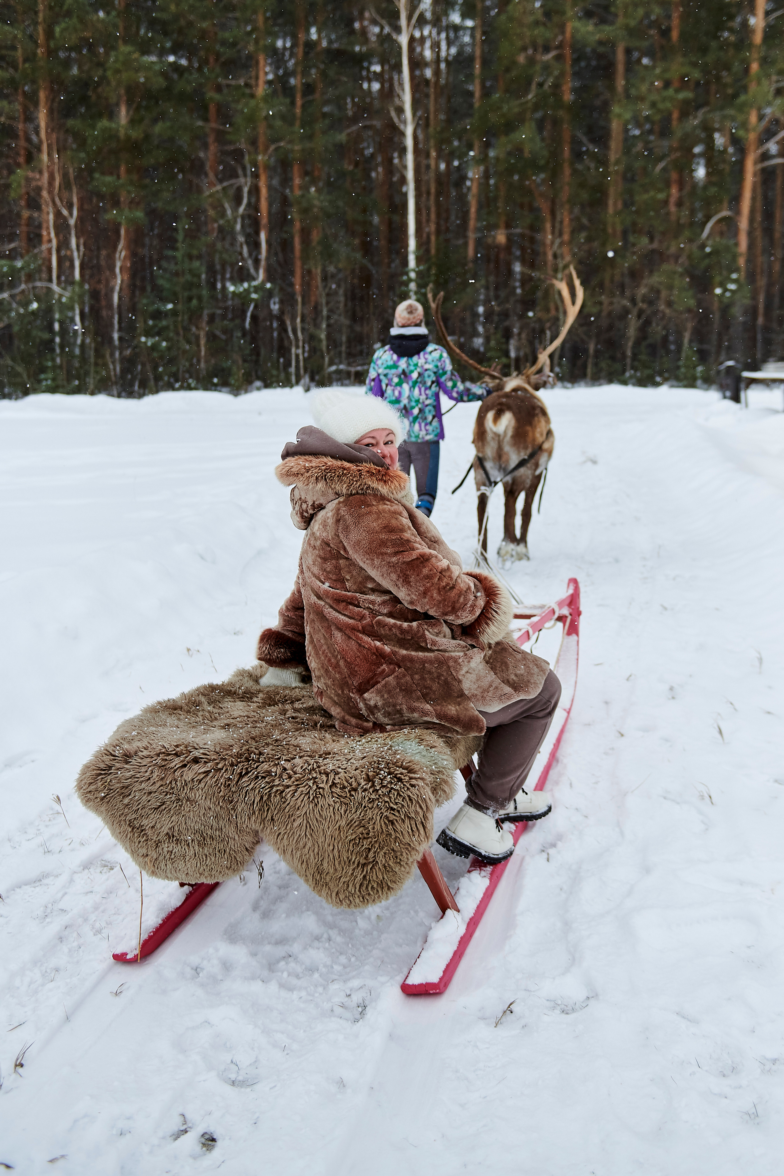 Зимний праздник для Нипигормаш. Фотограф Постольник Дарья