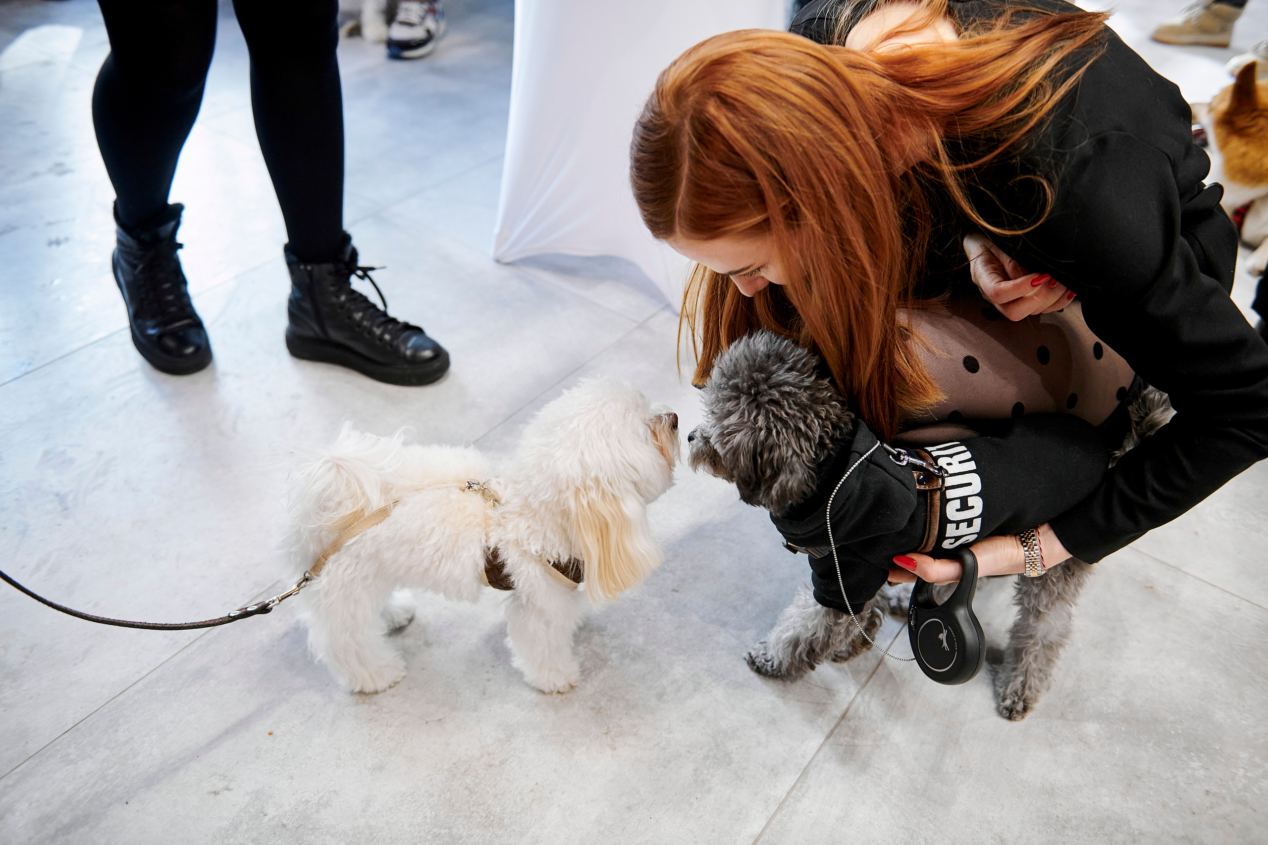 Открытие салона-магазина для животных People & Pets. Фотограф Постольник Дарья