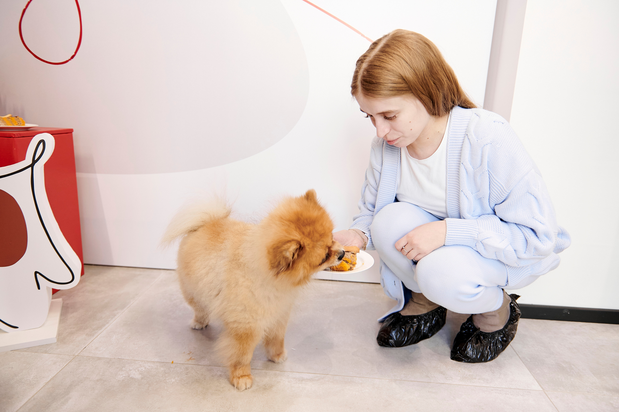 Открытие салона-магазина для животных People & Pets. Фотограф Постольник Дарья