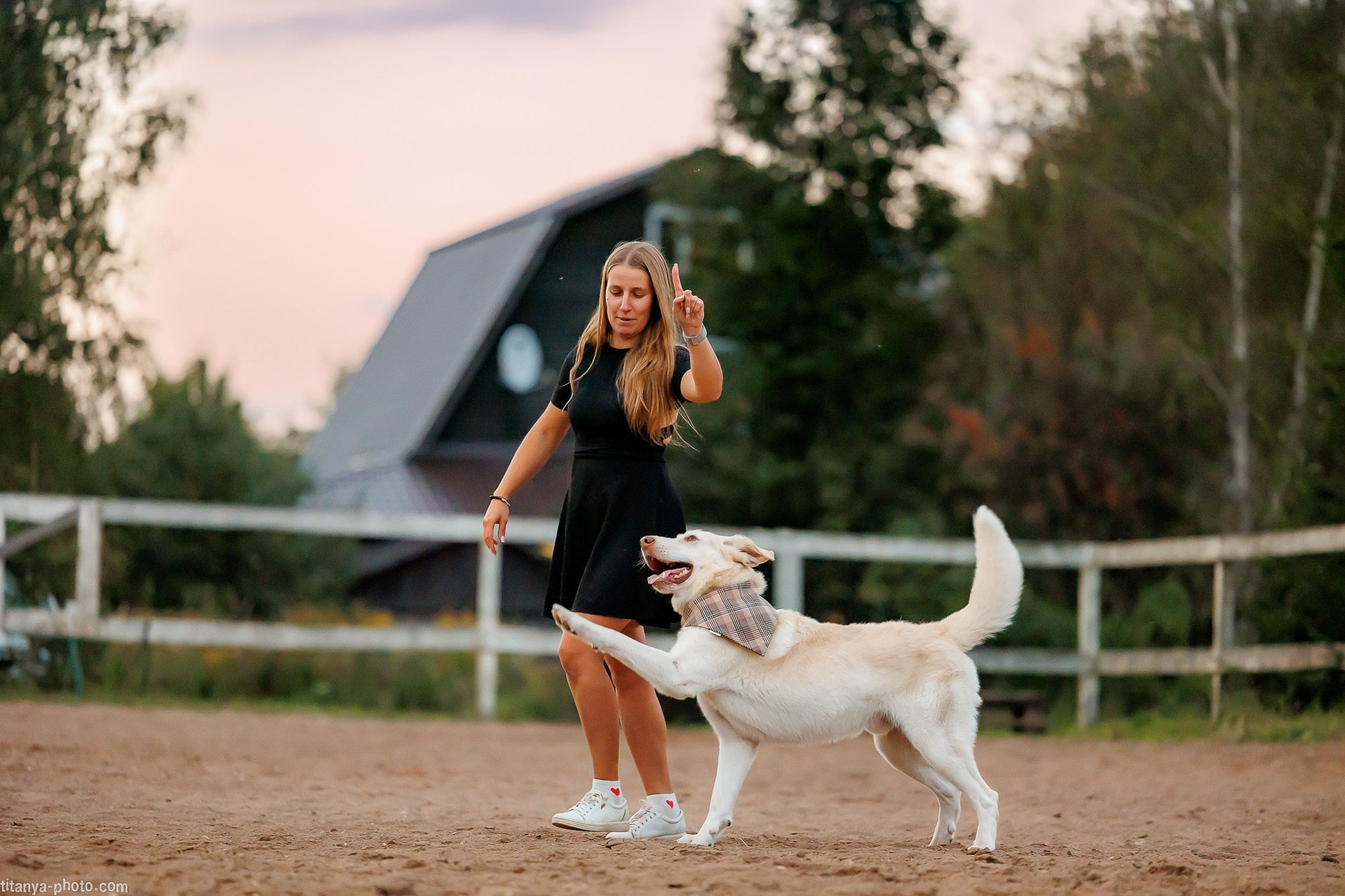 Закатная семейная фотосессия: про Настю и её дружную семью. Фотограф собак, фотограф-анималист Аня Титова (Titanya). Москва